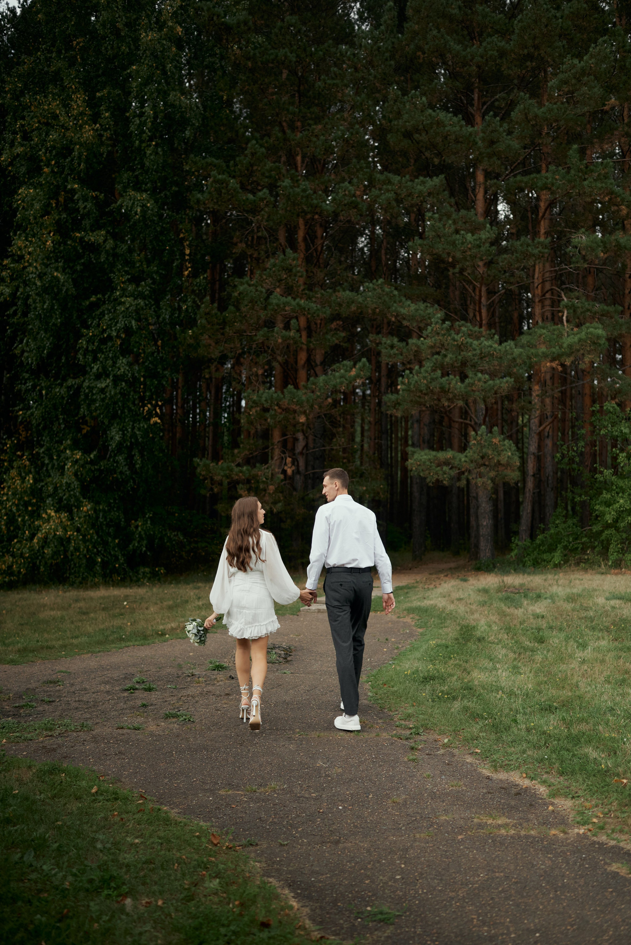 Сосновый лес. Свадебный фотограф Александр Браво