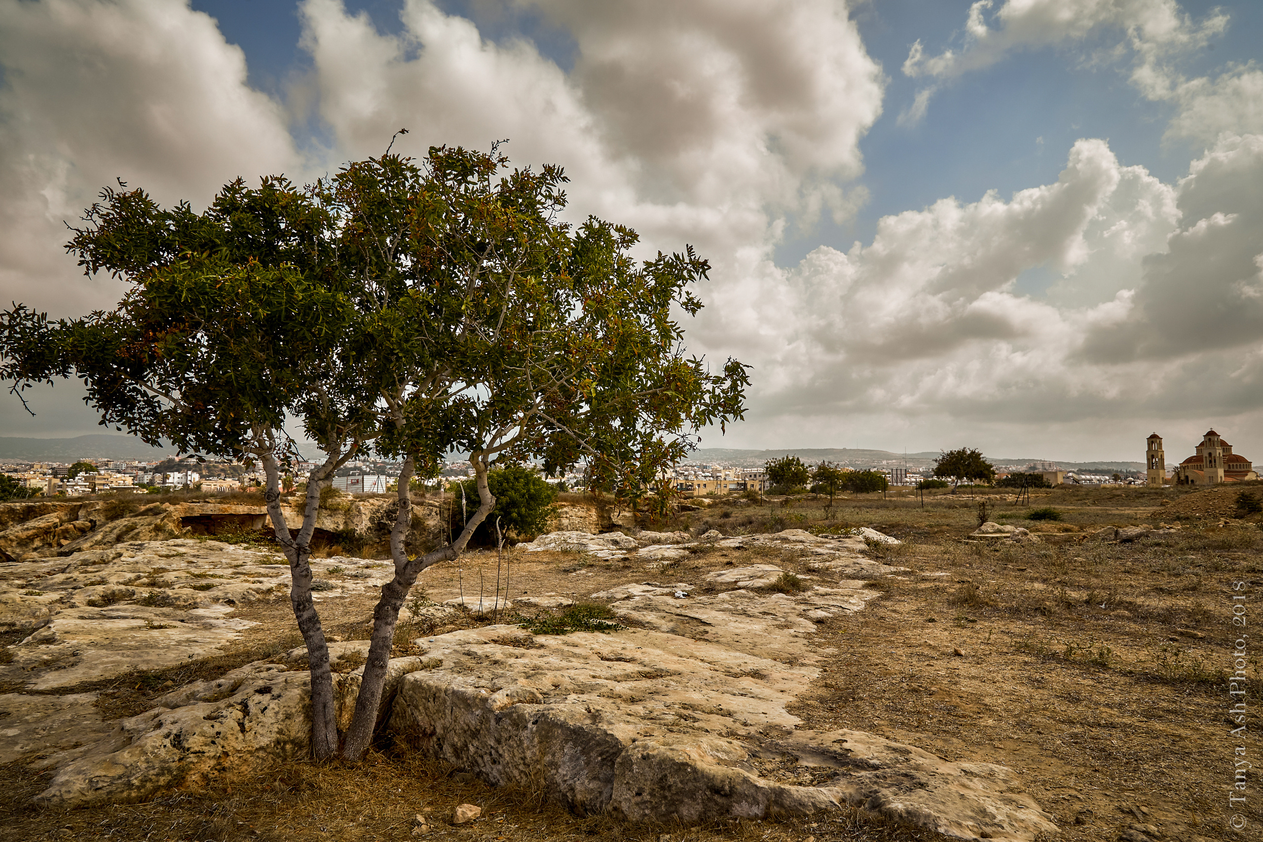 Фотографии Кипра и Пафоса. Photographer Sonkina Tatiana (Tanya Ash)
