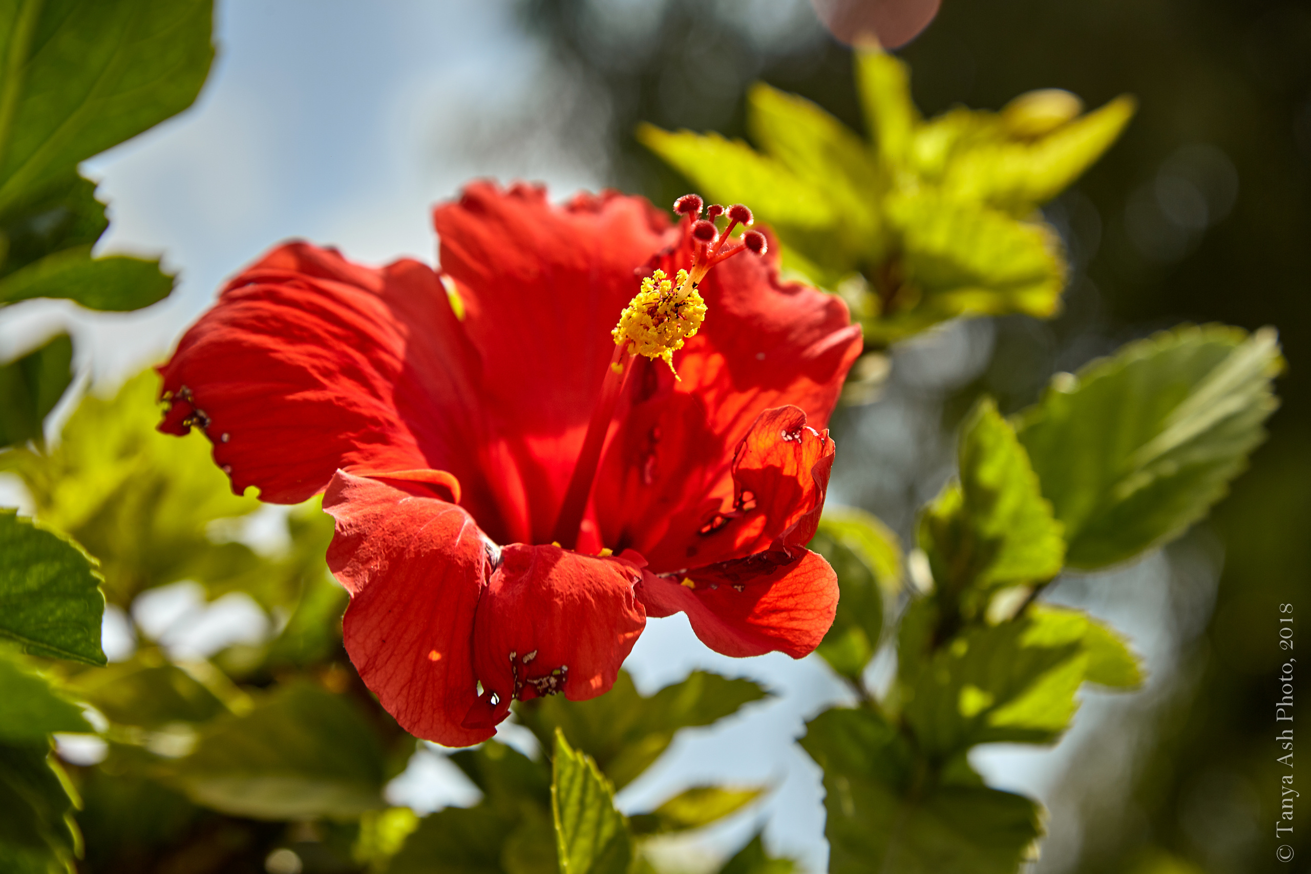 Фотографии Кипра и Пафоса. Photographer Sonkina Tatiana (Tanya Ash)