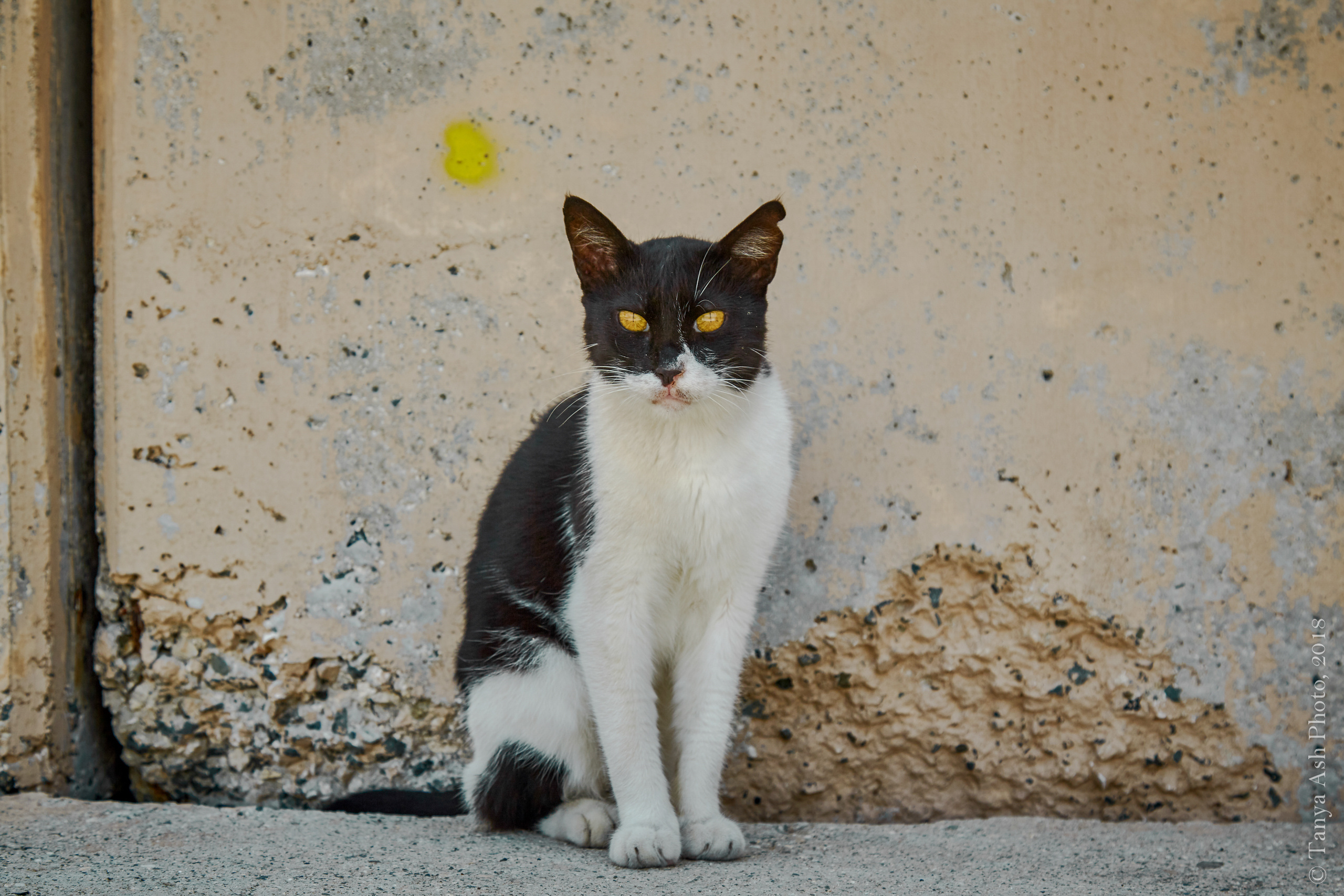 Фотографии Кипра и Пафоса. Photographer Sonkina Tatiana (Tanya Ash)