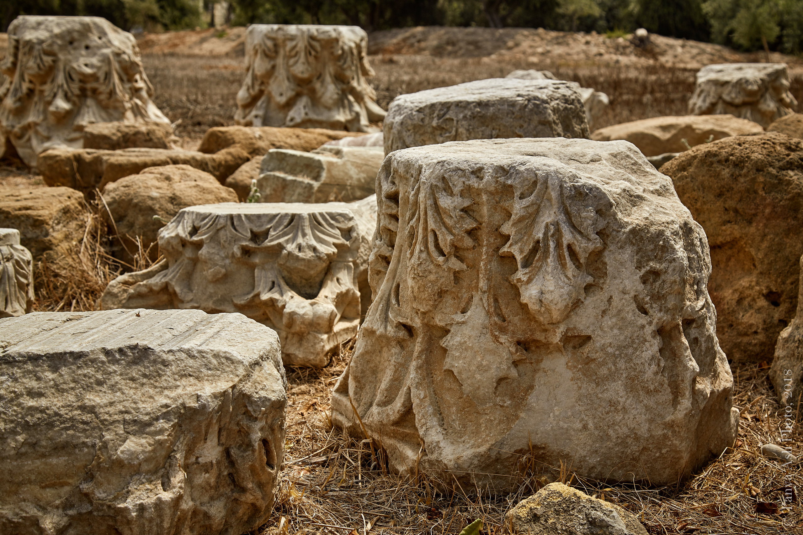 Фотографии Кипра и Пафоса. Photographer Sonkina Tatiana (Tanya Ash)