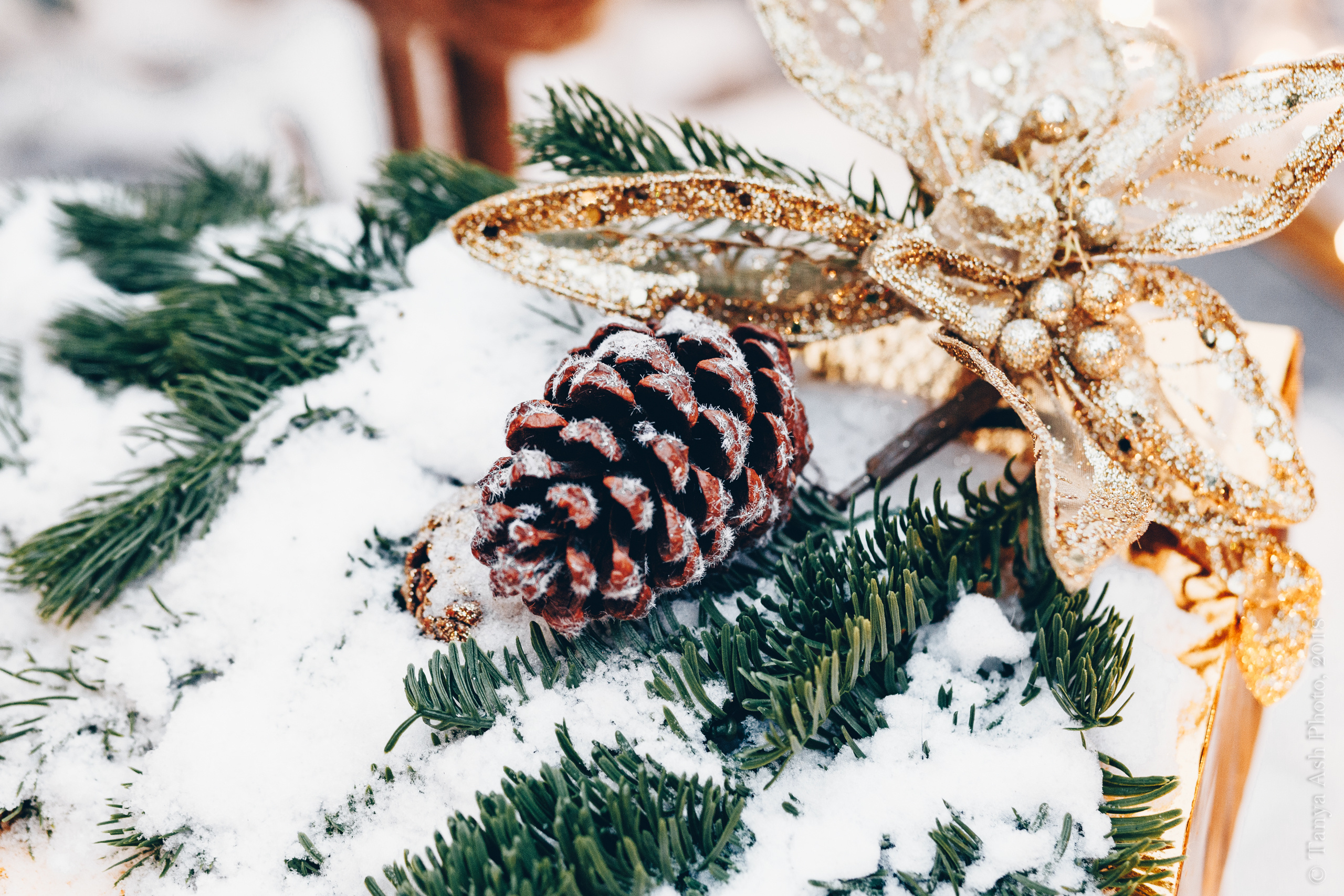 Фестиваль Путешествие в Рождество 2019. Фотограф Сонкина Татьяна