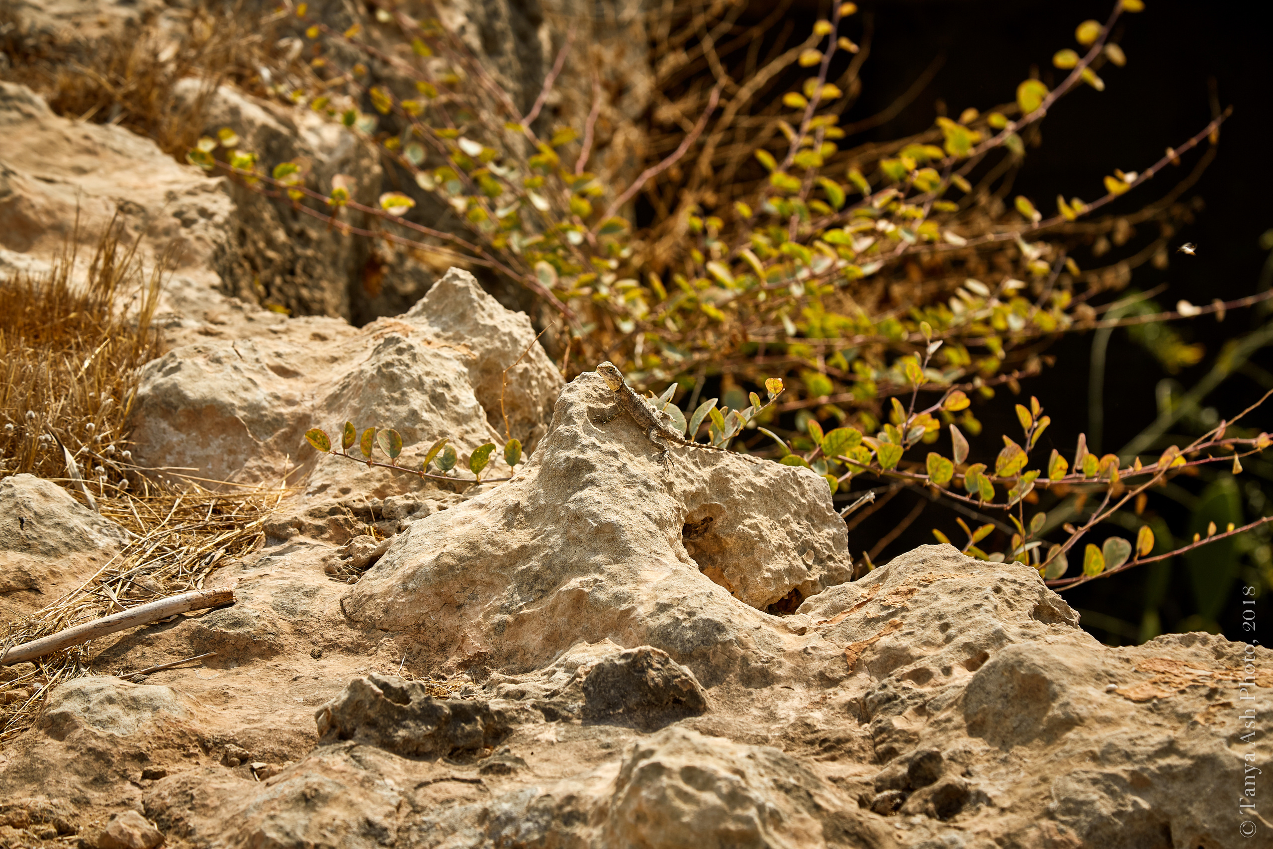 Фотографии Кипра и Пафоса. Photographer Sonkina Tatiana (Tanya Ash)