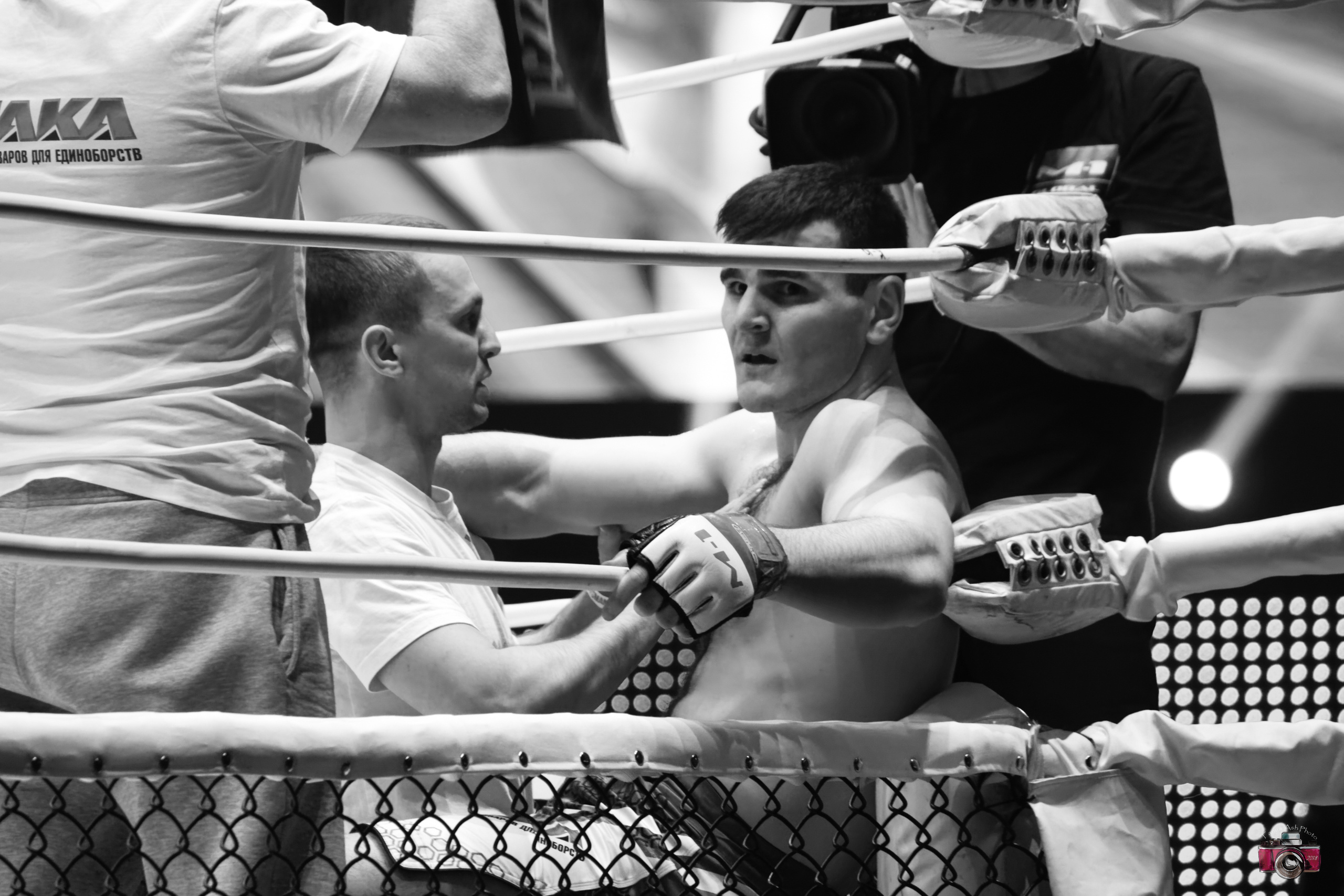 M-1 CHALLENGE 88. Photographer Sonkina Tatiana (Tanya Ash)