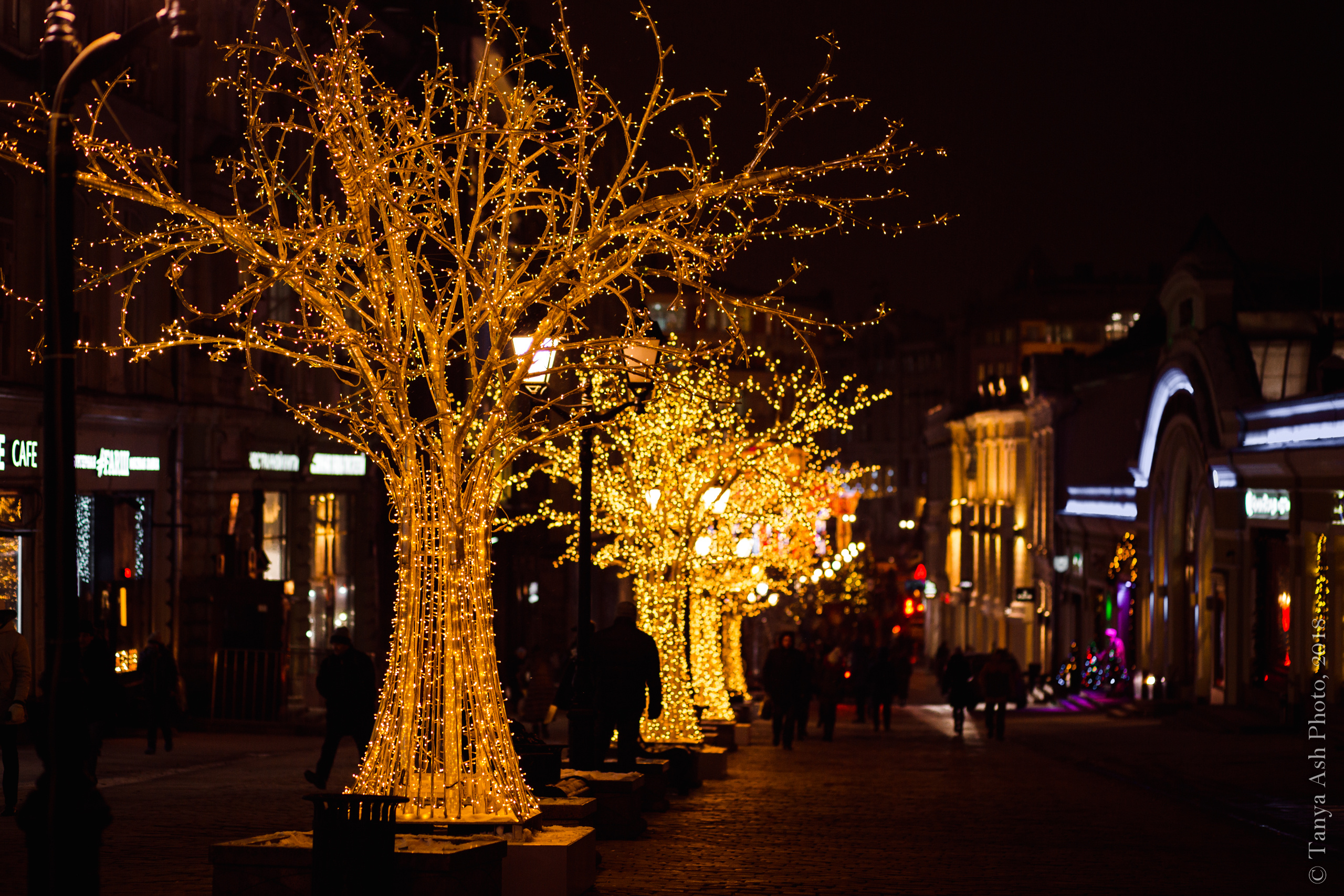 Фестиваль Путешествие в Рождество 2019. Фотограф Сонкина Татьяна