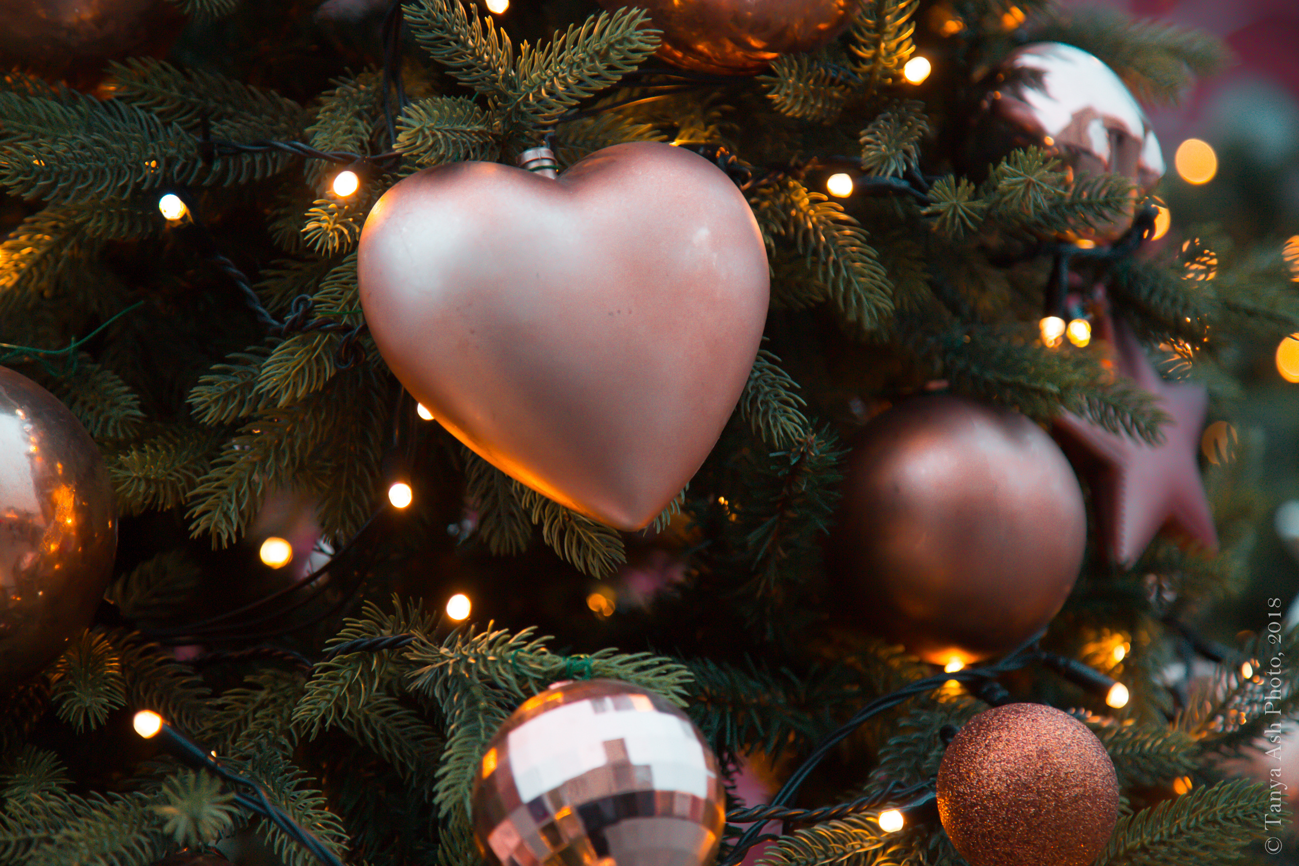 Фестиваль Путешествие в Рождество 2019. Фотограф Сонкина Татьяна