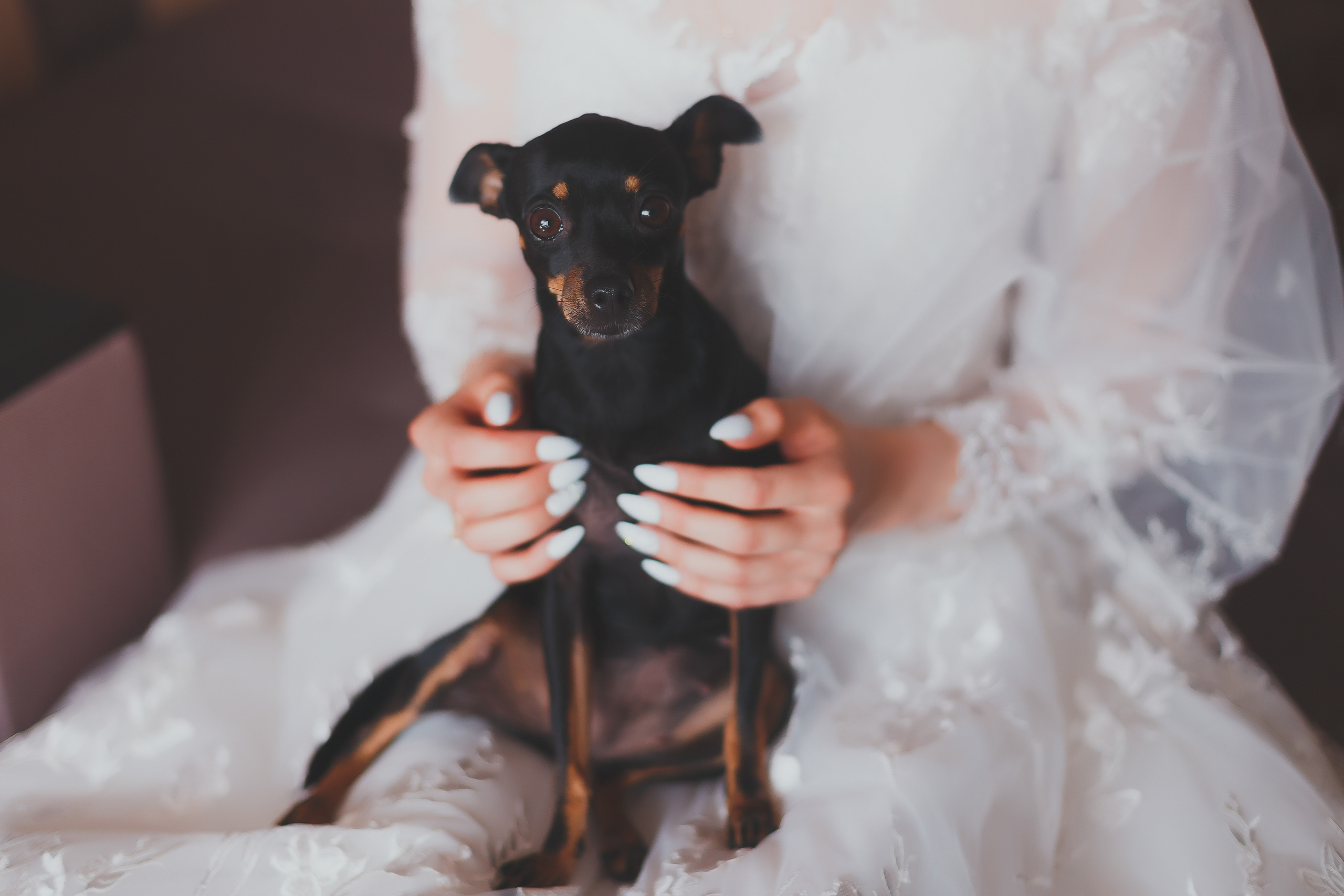 Свадьба в усадьбе Остафьево. Фотограф в Подольске — Мария Бучнева