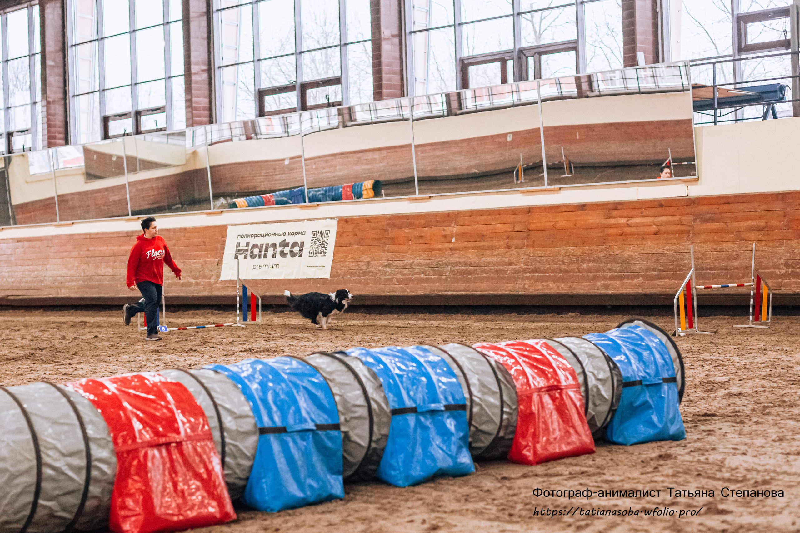 Соревнования по Аджилити 25.02.2024. Фотограф-анималист Татьяна Степанова