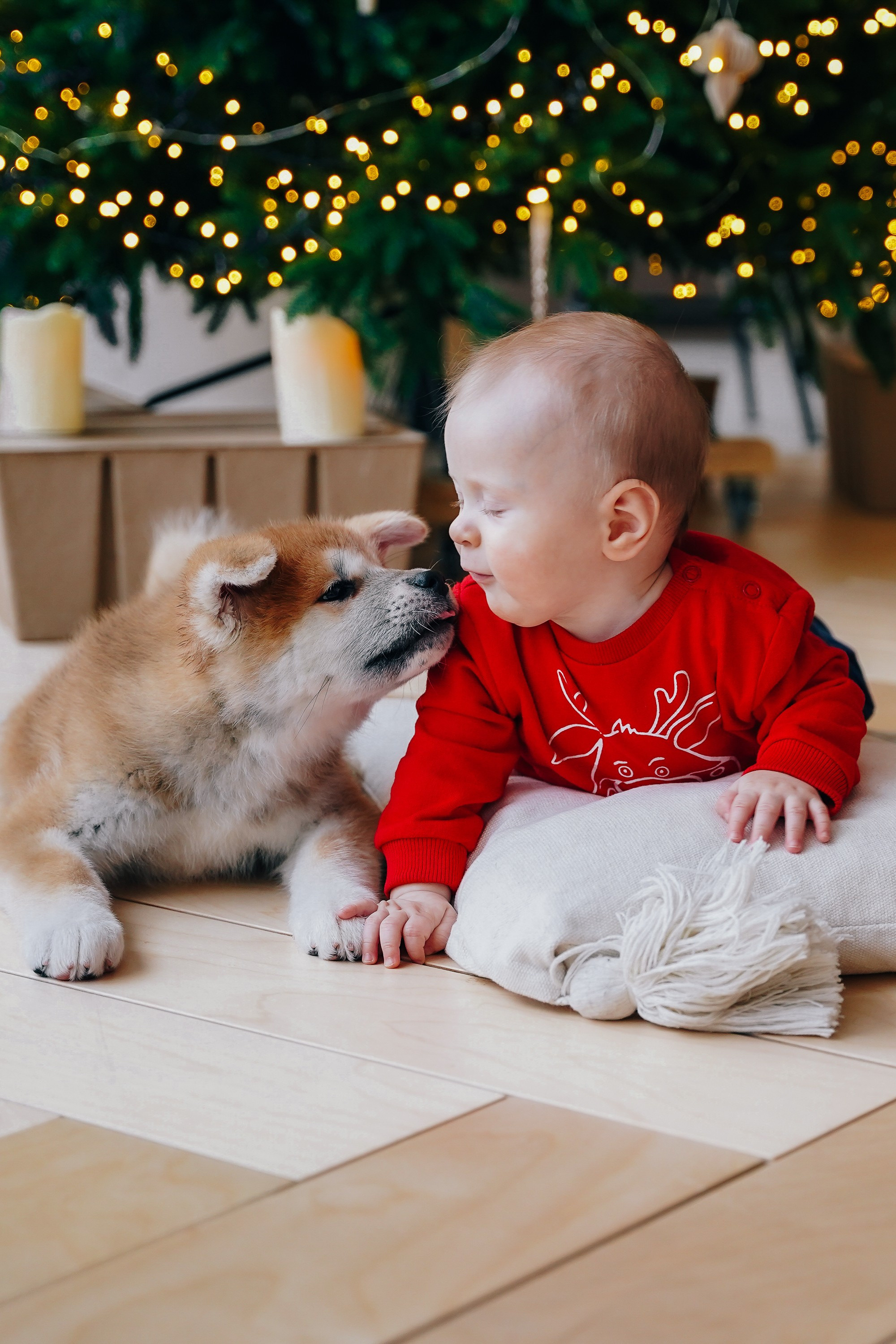 СЕМЕЙНАЯ СЪЁМКА. Спортивный и семейный фотограф в Екатеринбурге Ольга Горбунова меня