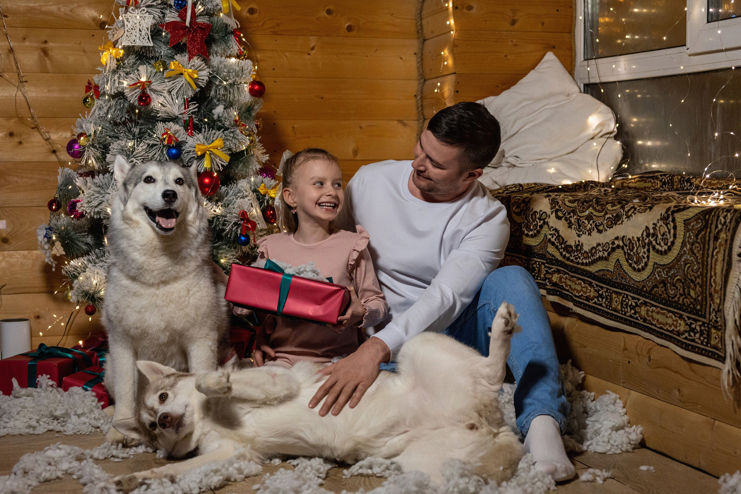 Фотопроект с хаски 2024 г. Фотограф в городе Салават