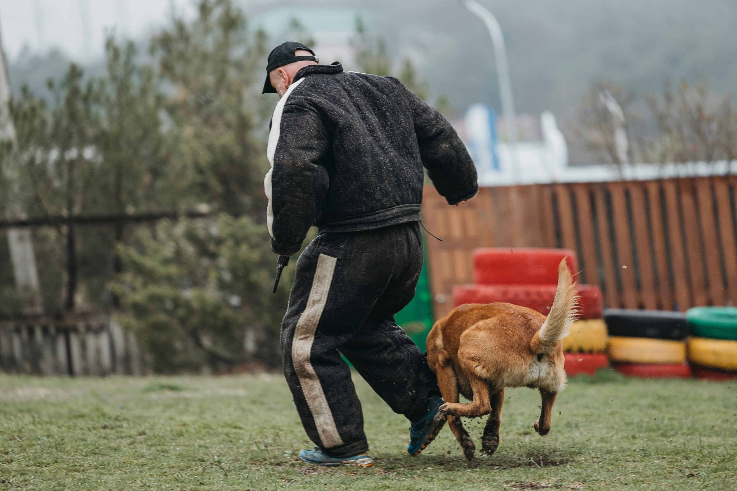 Геленджик Мондьоринг. Фотограф-анималист Анна Маринич