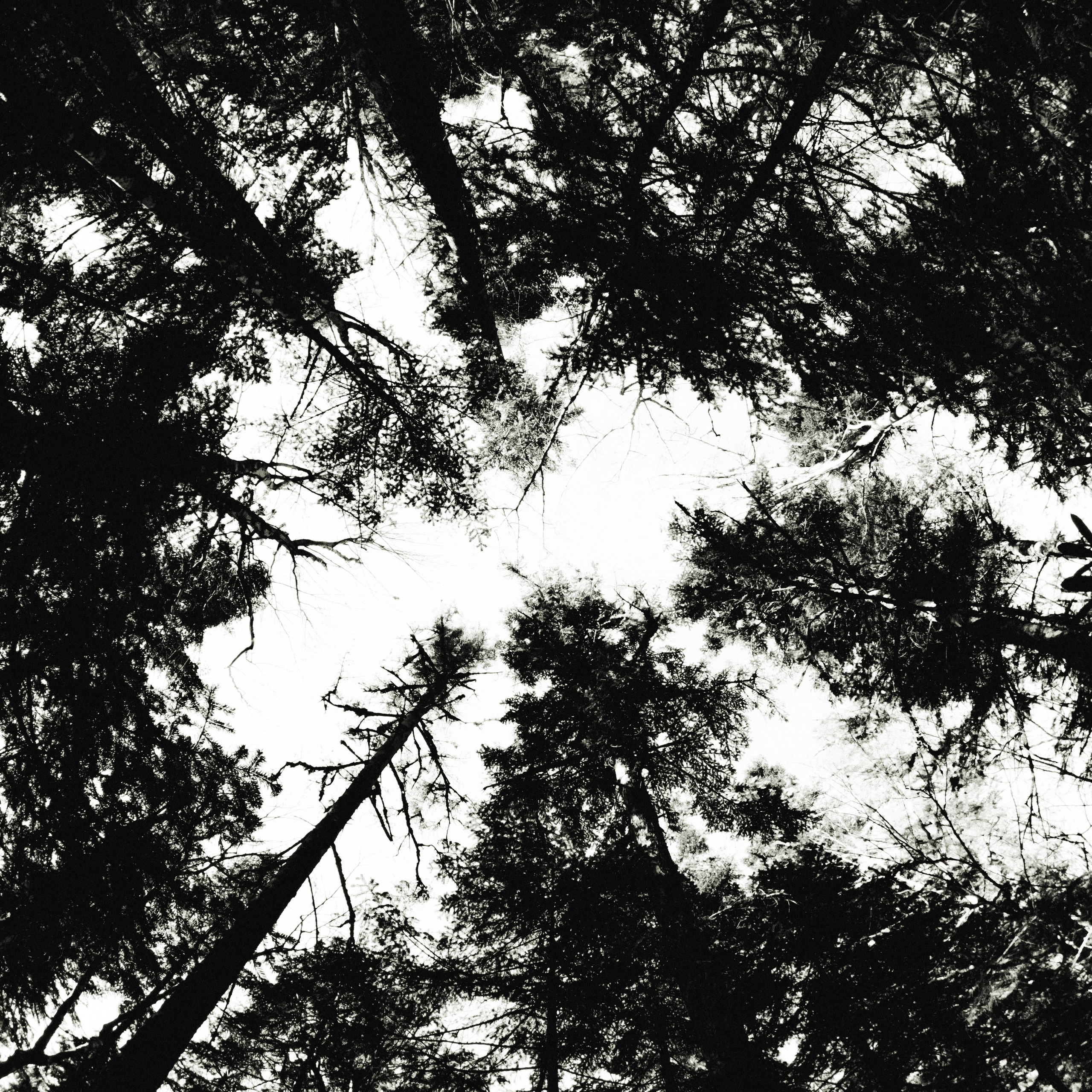 Other. Фотограф Абакан|Фрейман Никита