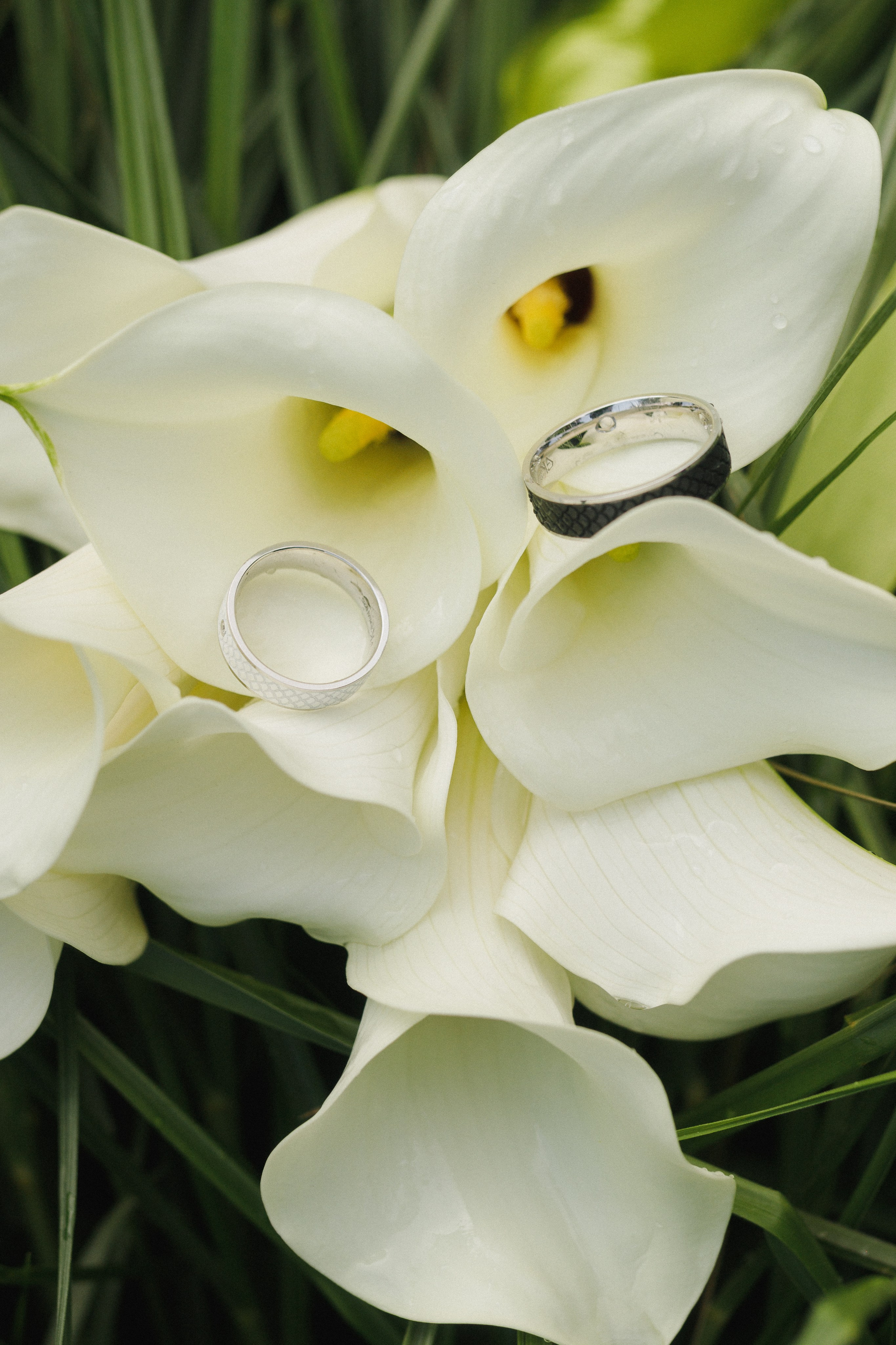 Wedding story. Семейный и женский фотограф в Краснодаре Виктория Гупало