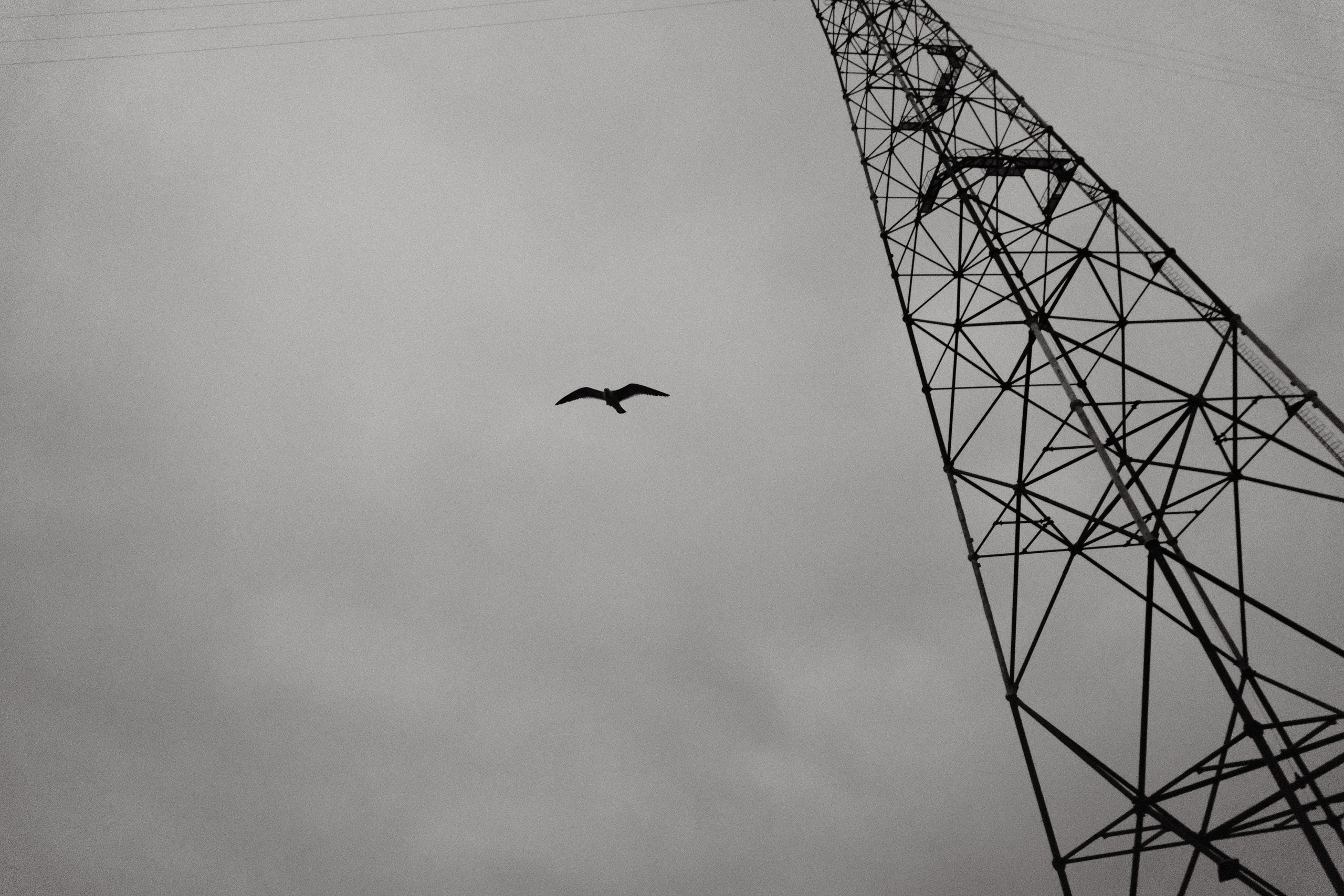 Фото Портфолио Рустам Нерустам