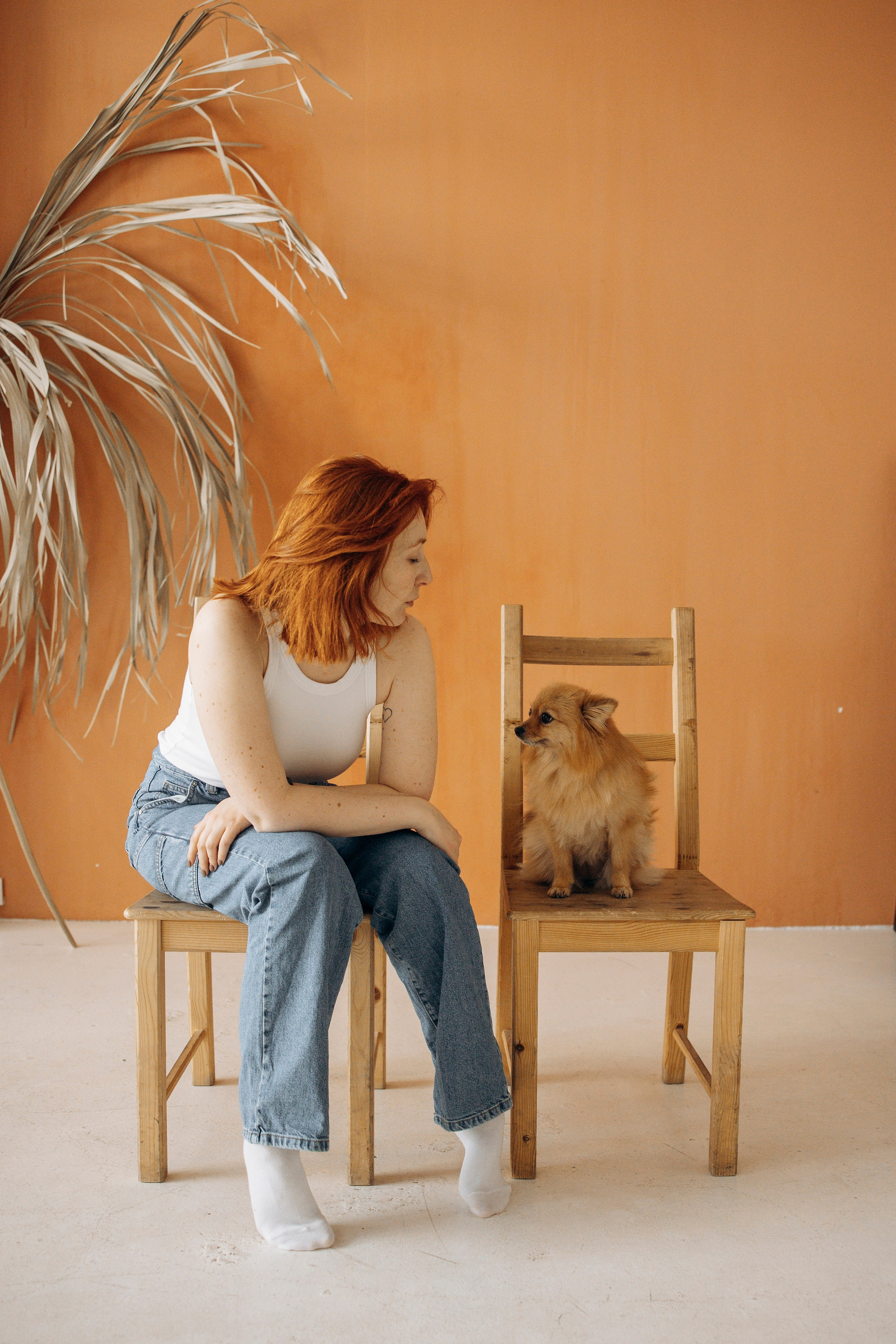 Съемка в студии с собакой. Анастасия Белаш