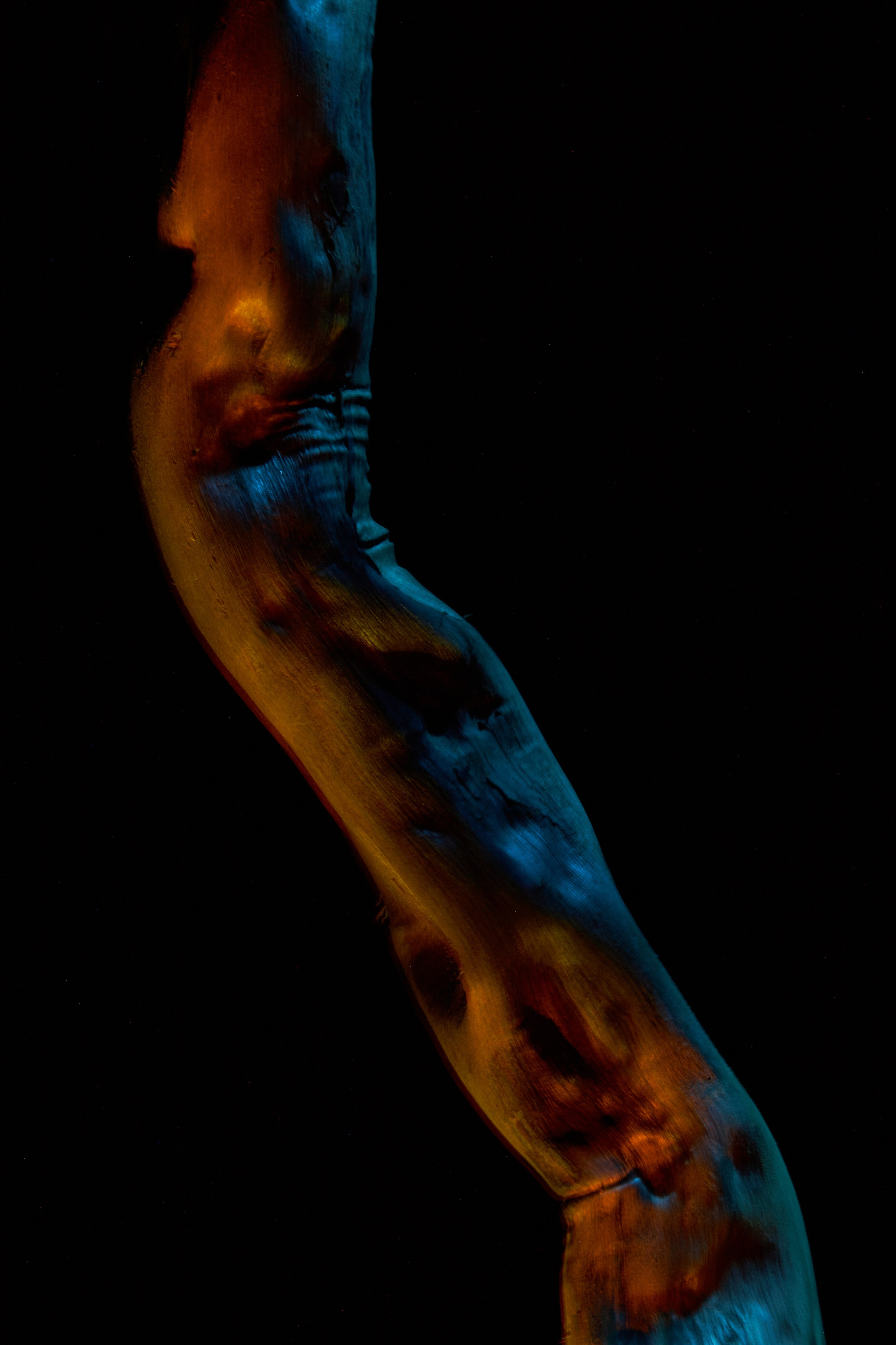 «Красок Тьма Полна». Арт-фотограф во Владивостоке Дмитрий Осипчук