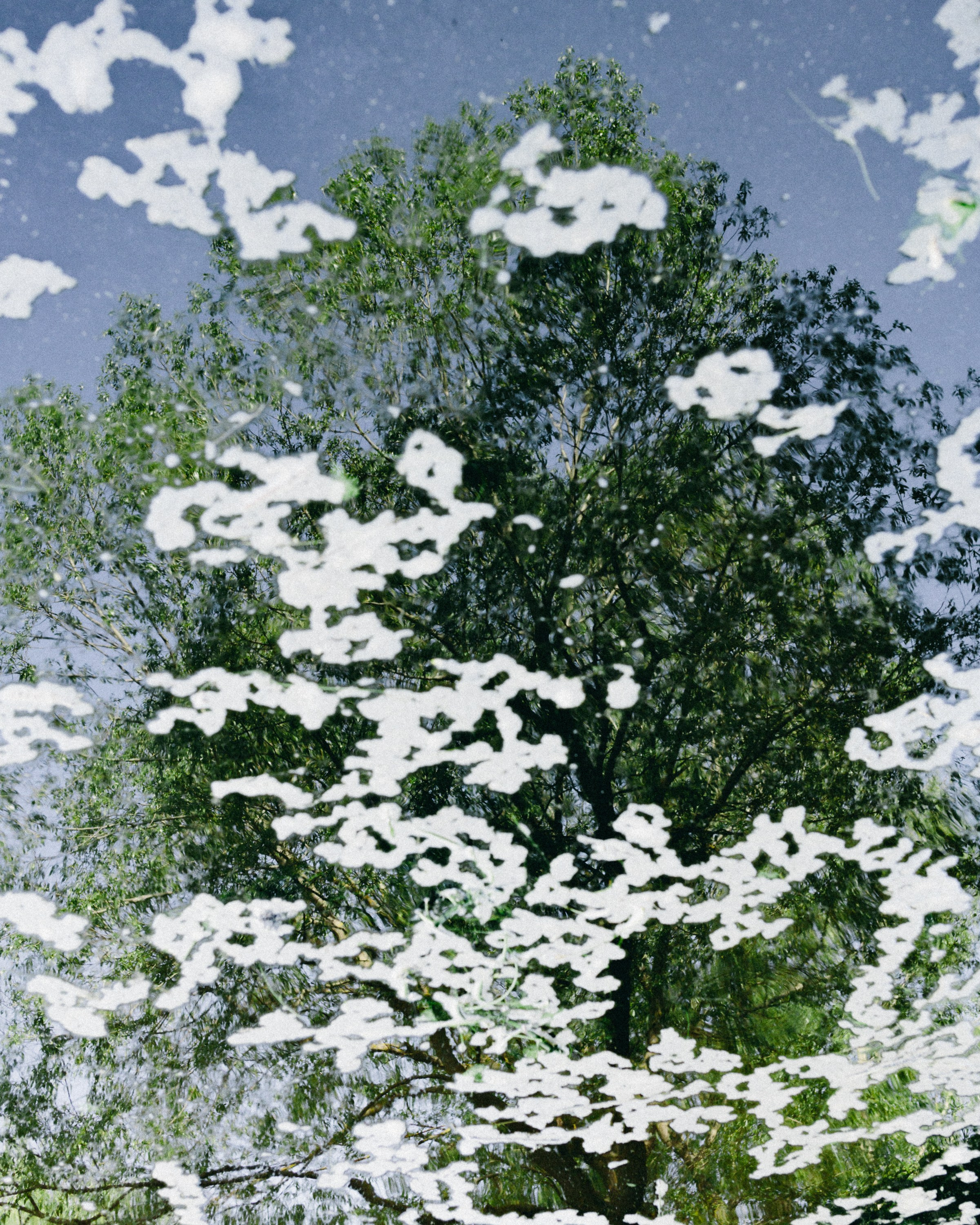 Открытие сезона созерцаний. Репортажный и портретный фотограф во Владимире Сергей Кравцов