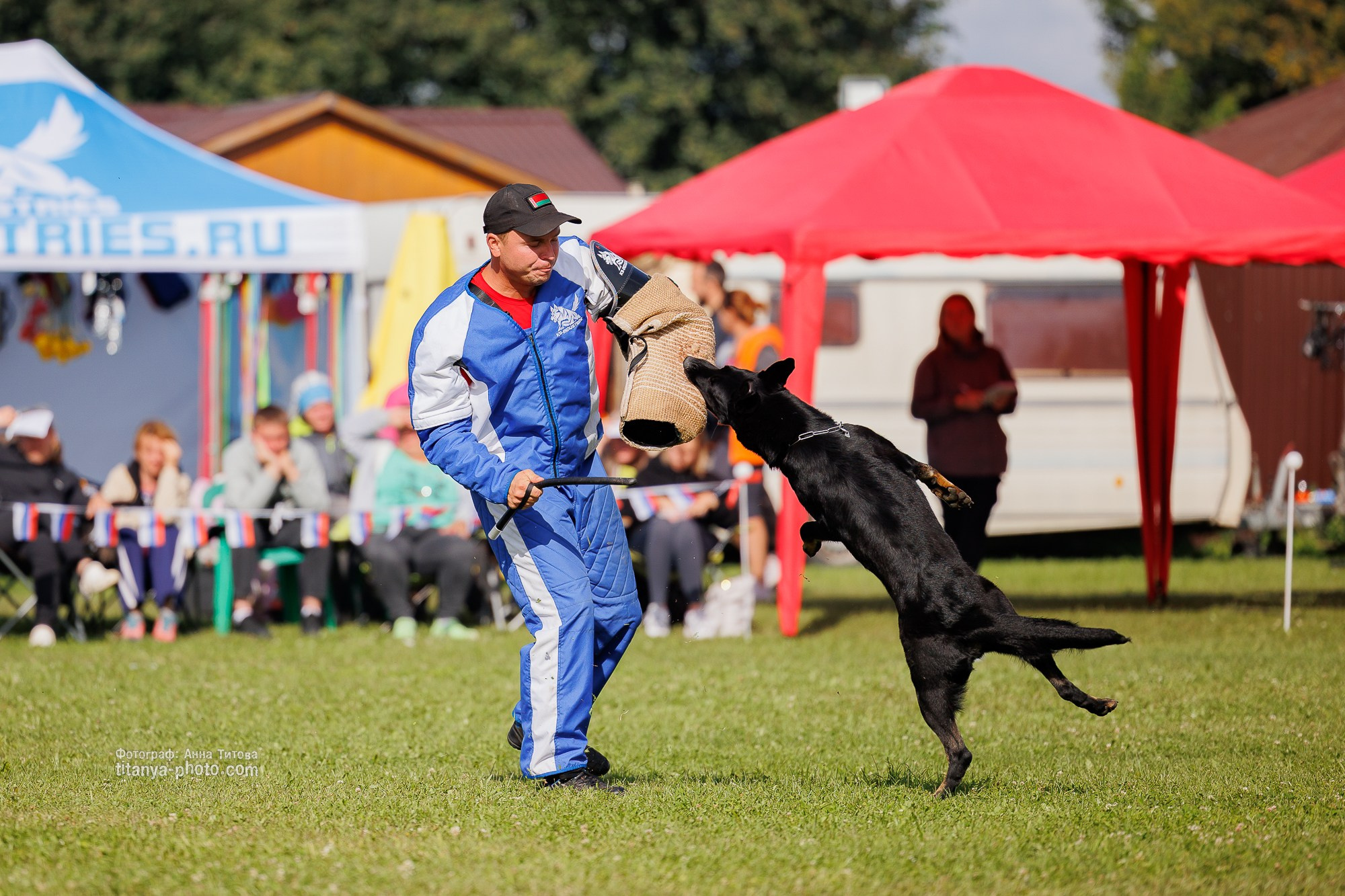 Немецкие овчарки: фото из рингов и вне ринга, мутпроба (фотографии с выставок). Фотограф собак, фотограф-анималист Аня Титова (Titanya). Москва