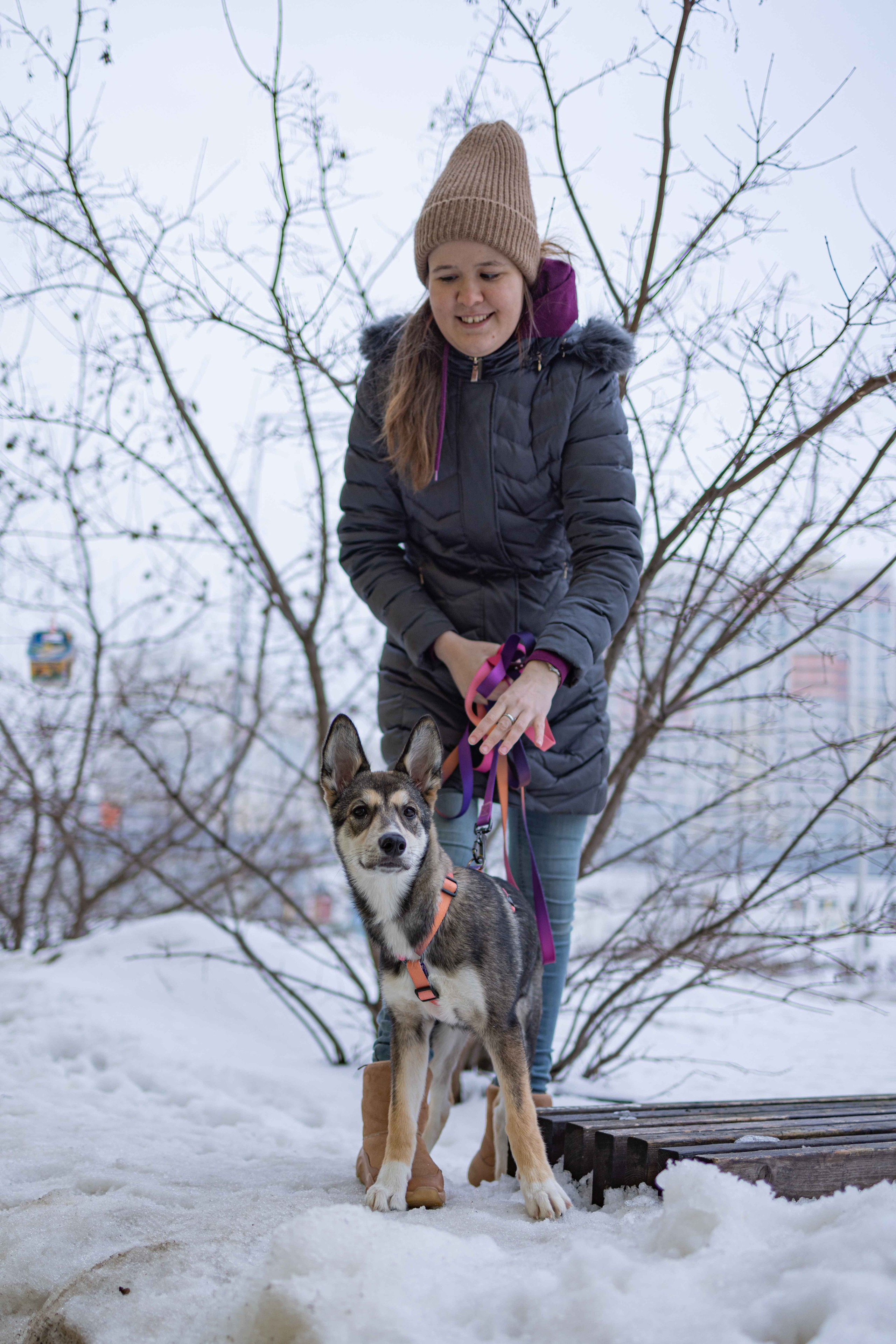 Шами. Фотограф-анималист в Москве Лера Черноног