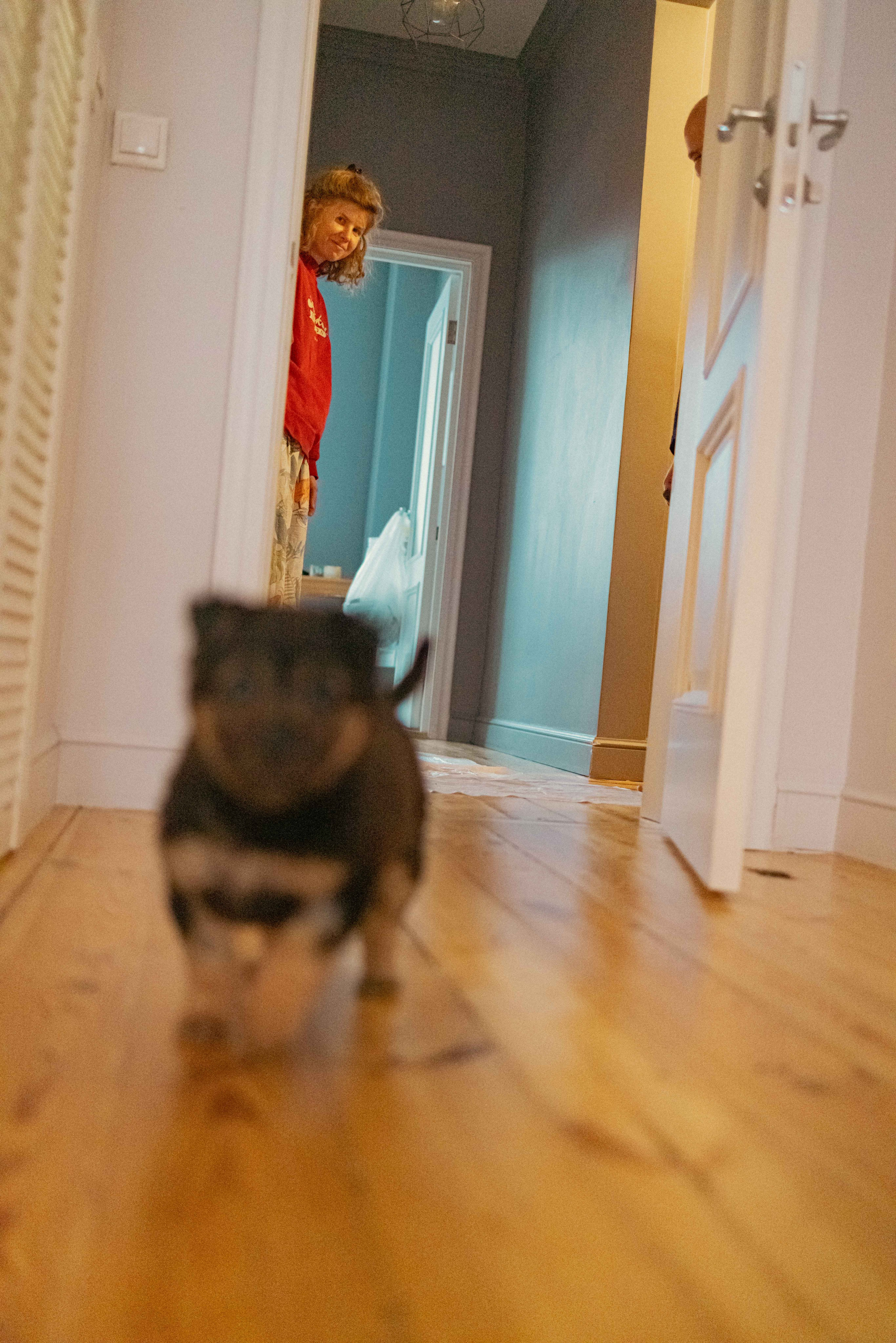 Пеппа. Фотограф-анималист в Москве Лера Черноног