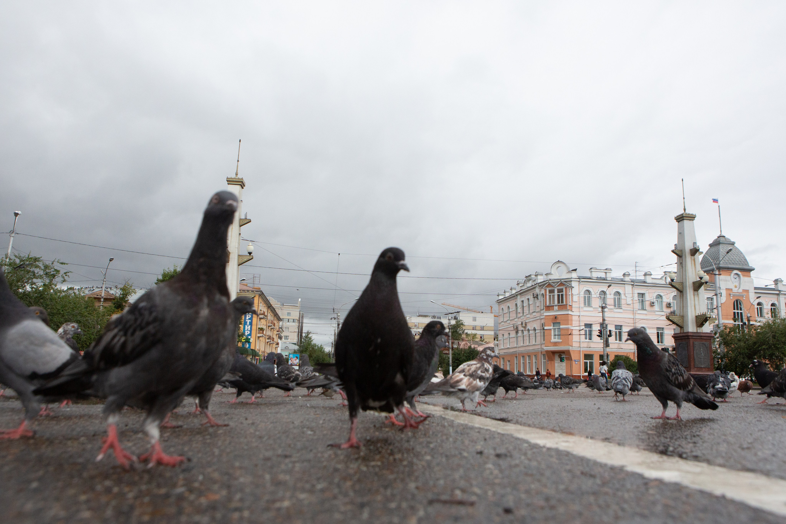 Фото Читы. Студия Максима Белослюдцева