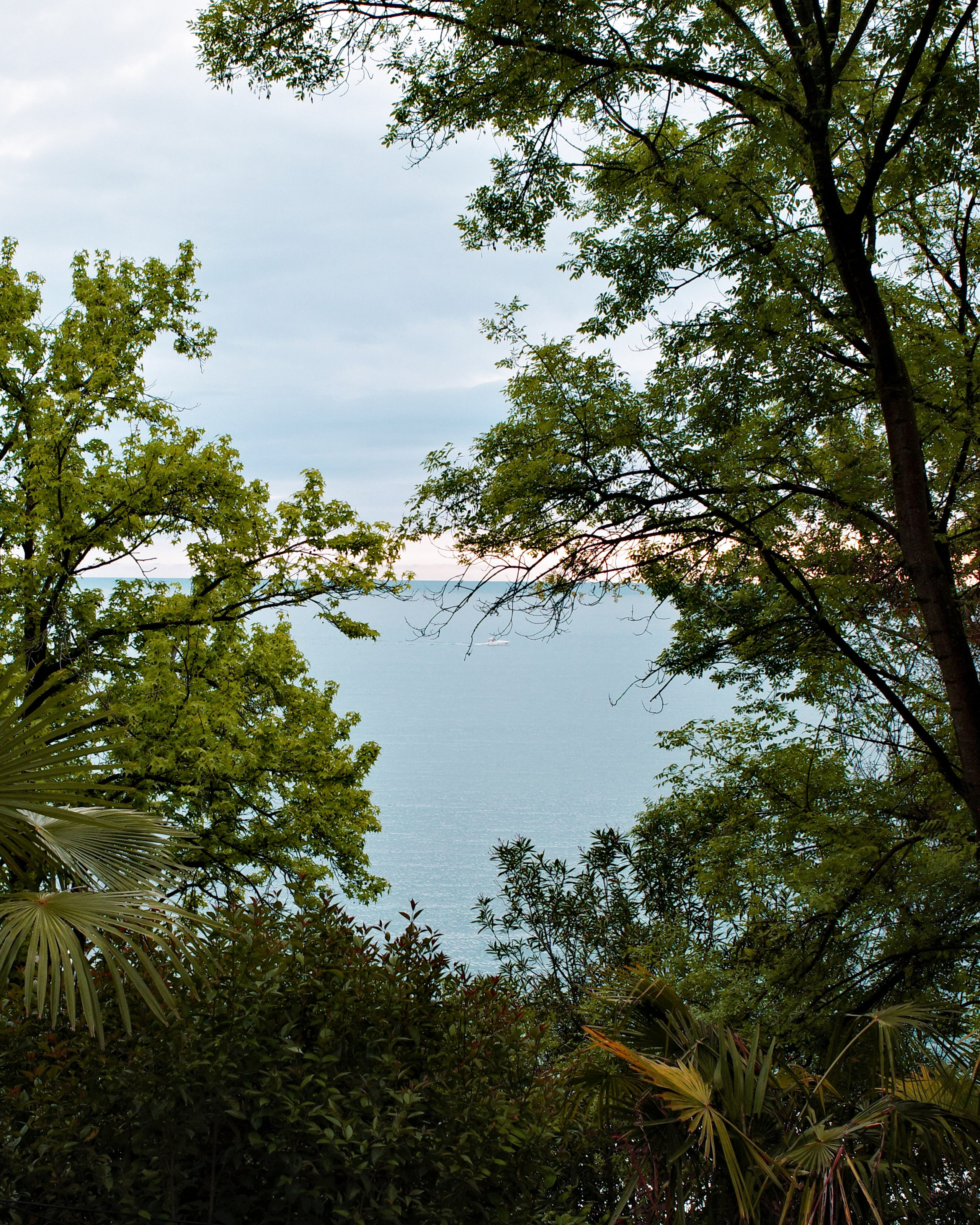 BY THE SEA. Anne Demia