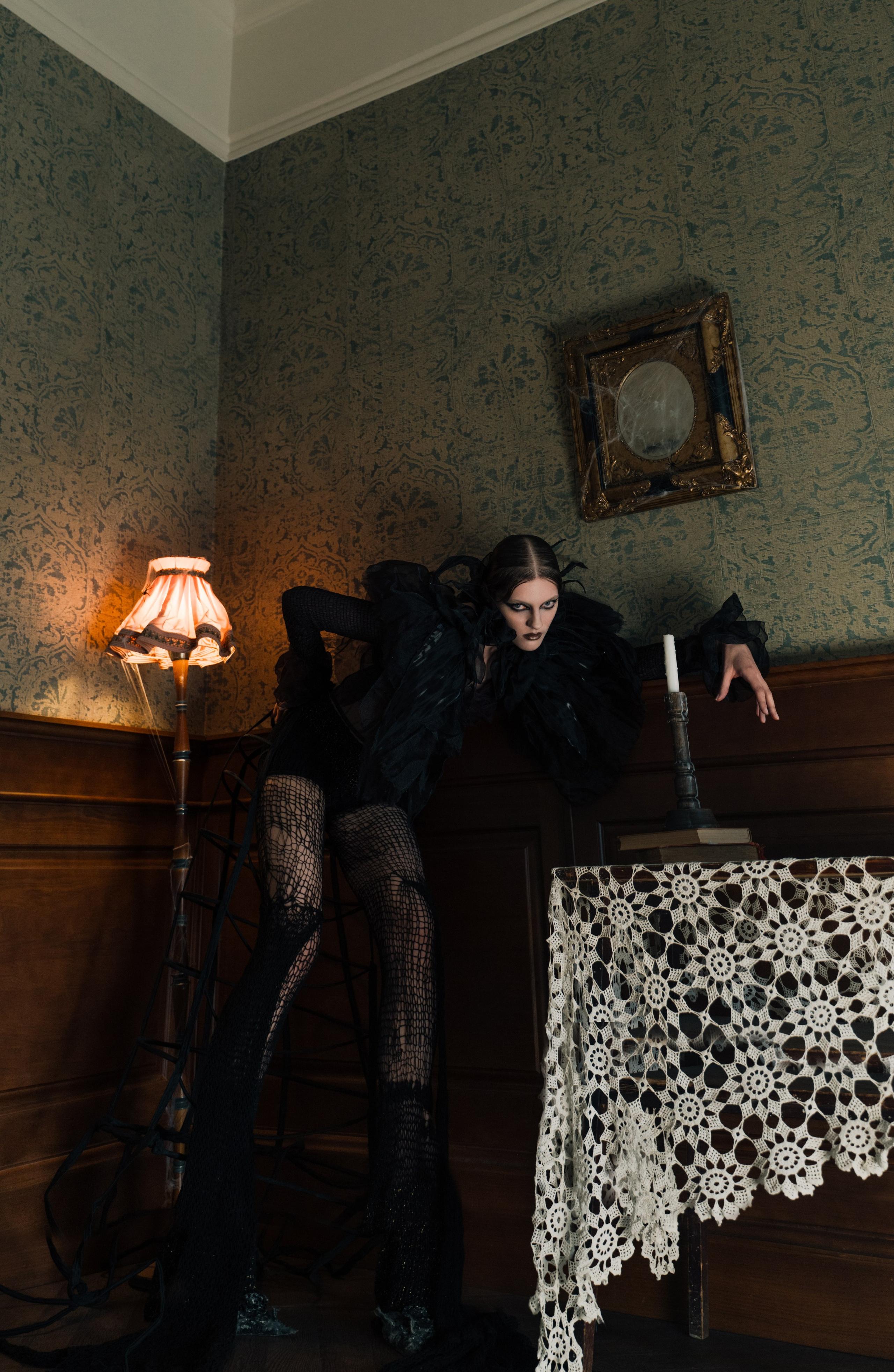 Паук. Фотограф Anita Mivchas