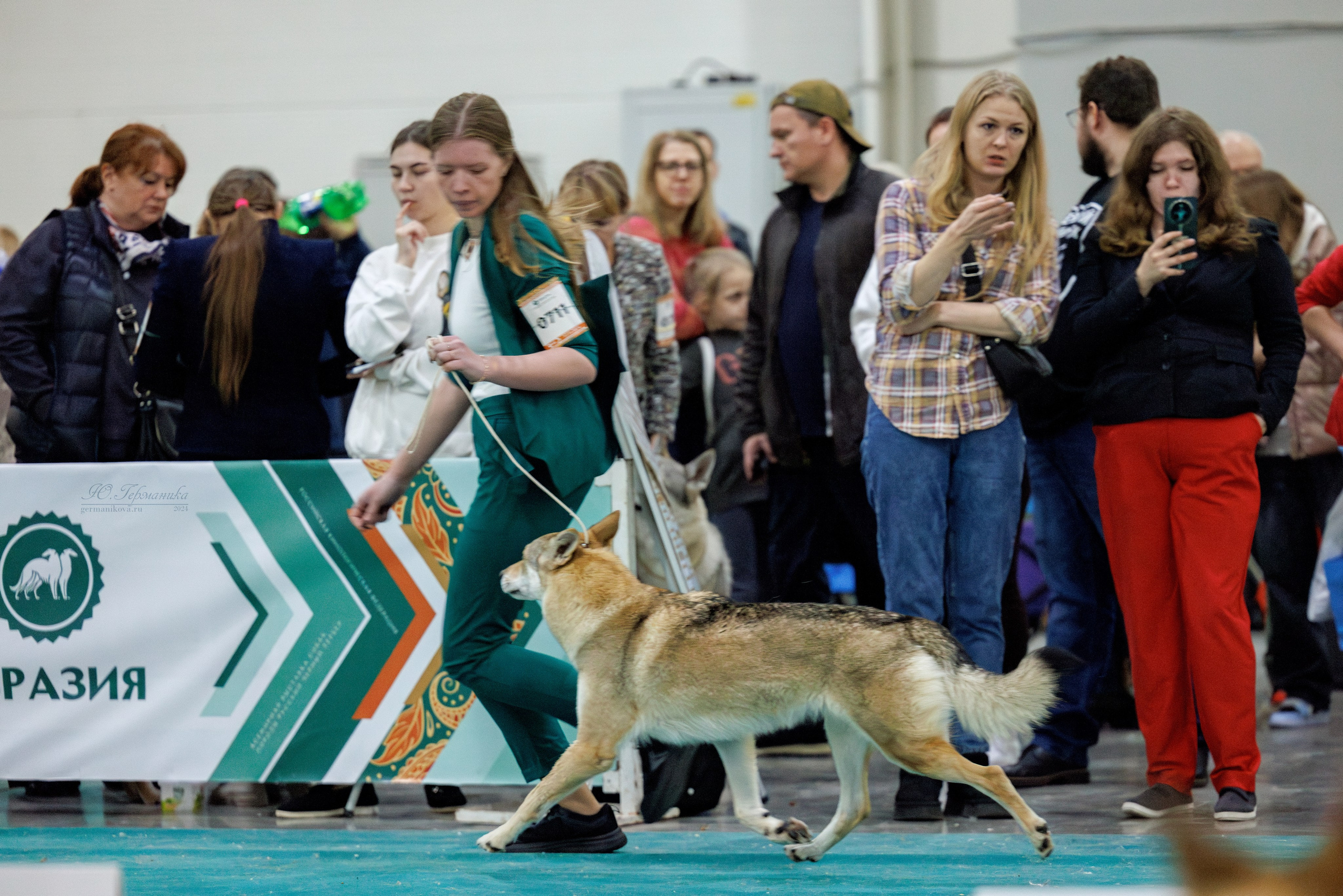 Евразия 16-17.11.2024. Фотограф-анималист Юлия Германика