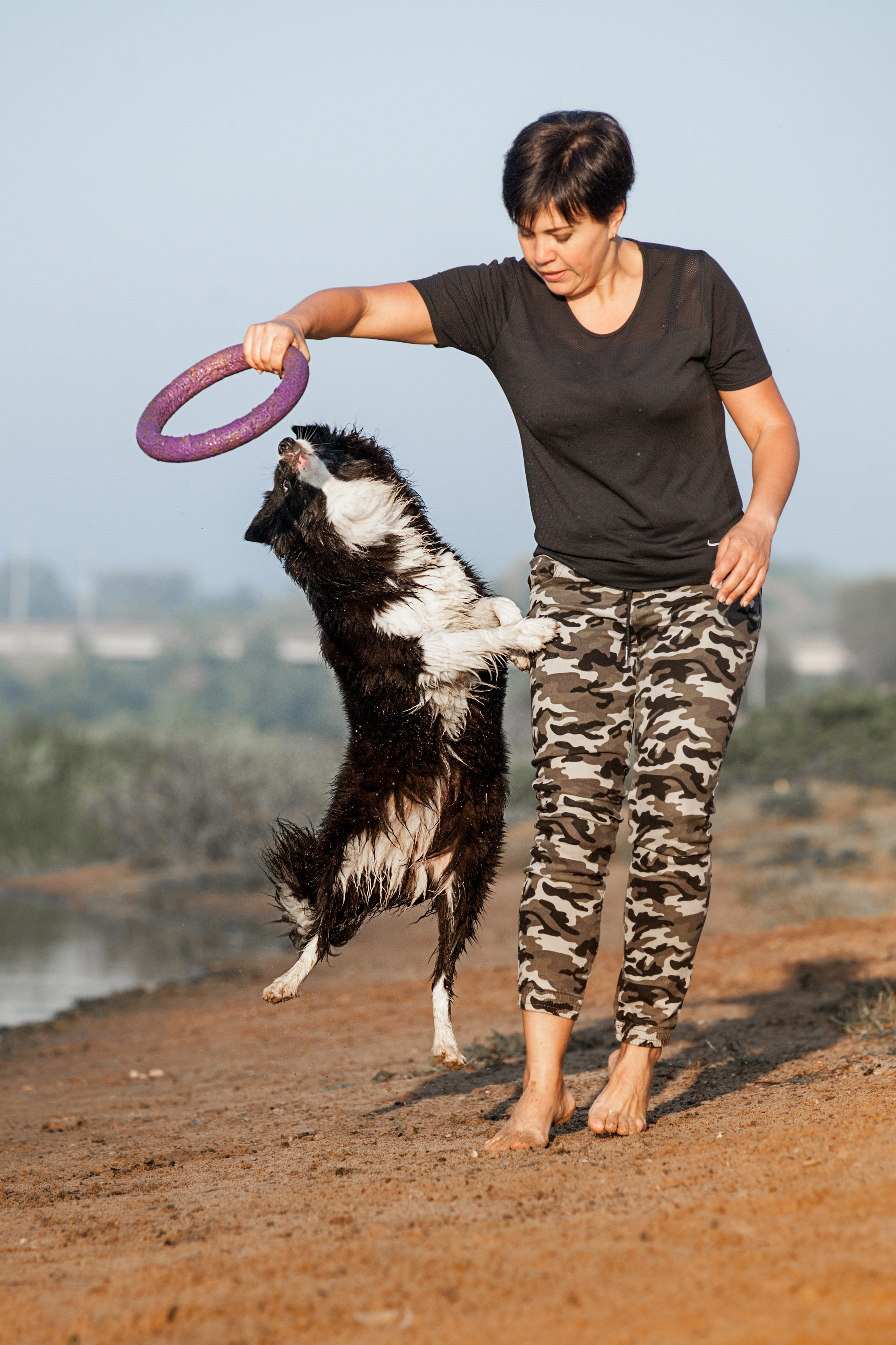 Сочный рассвет, на который решились. О нас