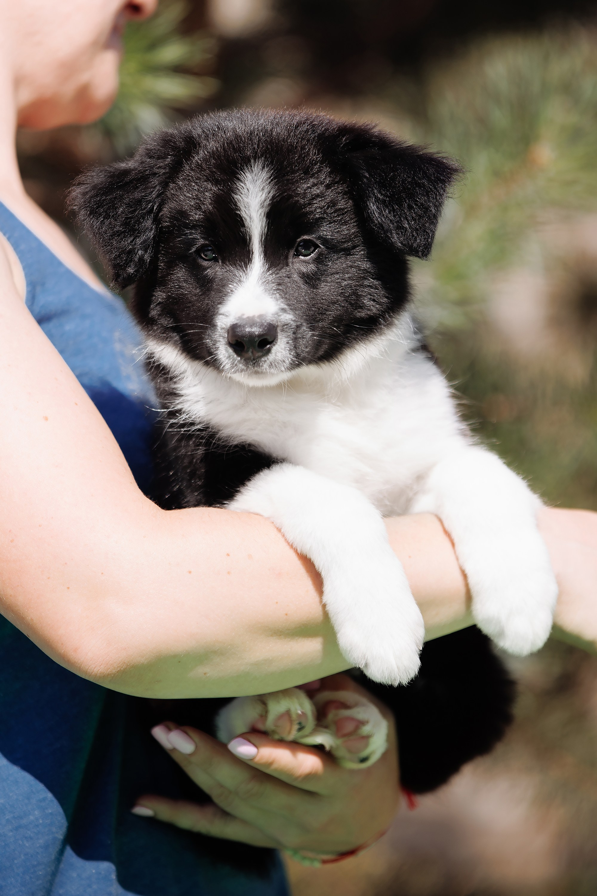 Трава у дома. О нас