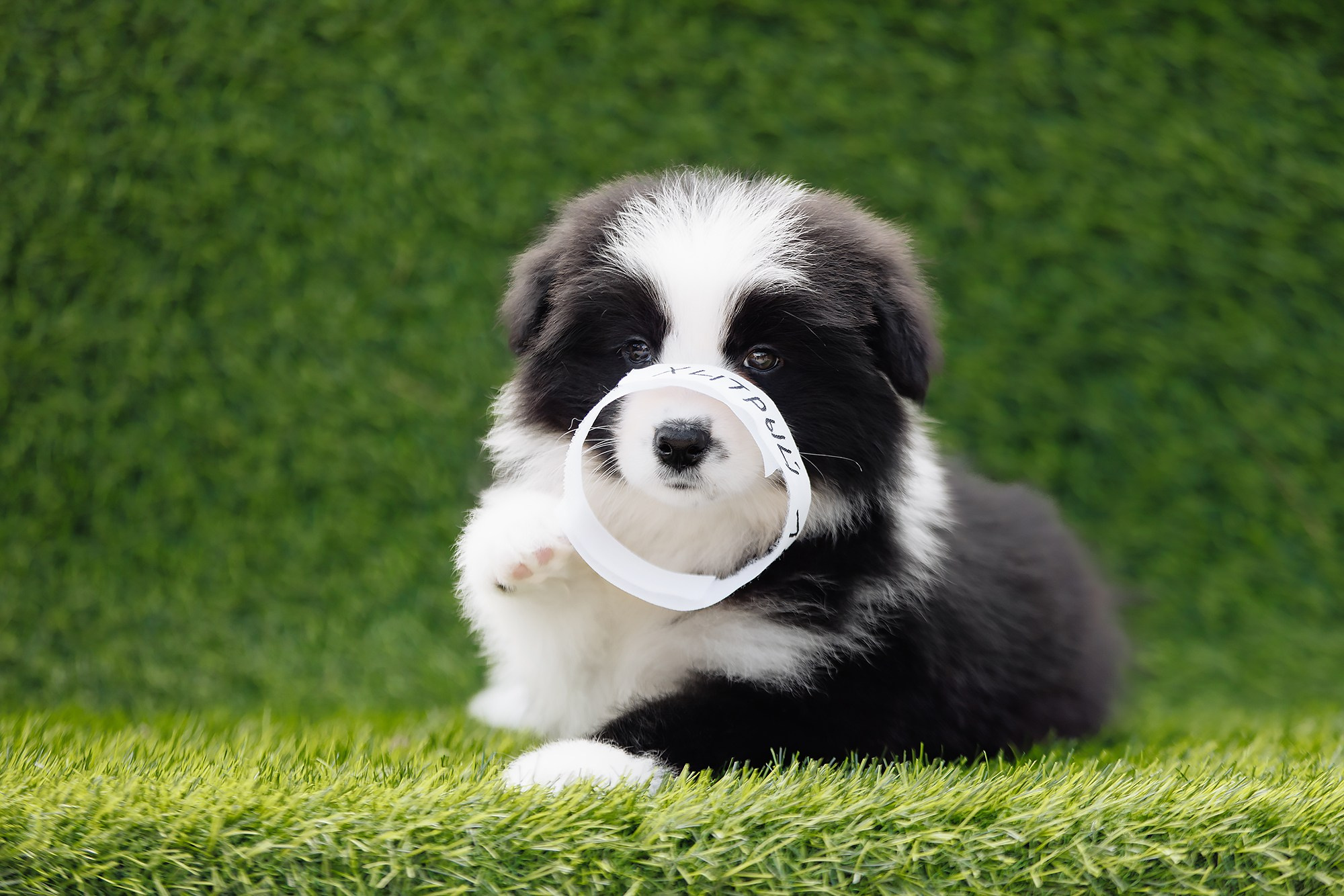 Новый лист. О нас