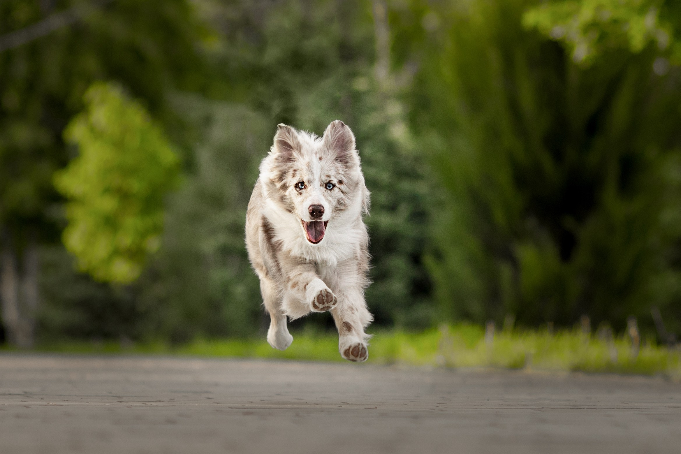 Роскошь в ростошах. О нас