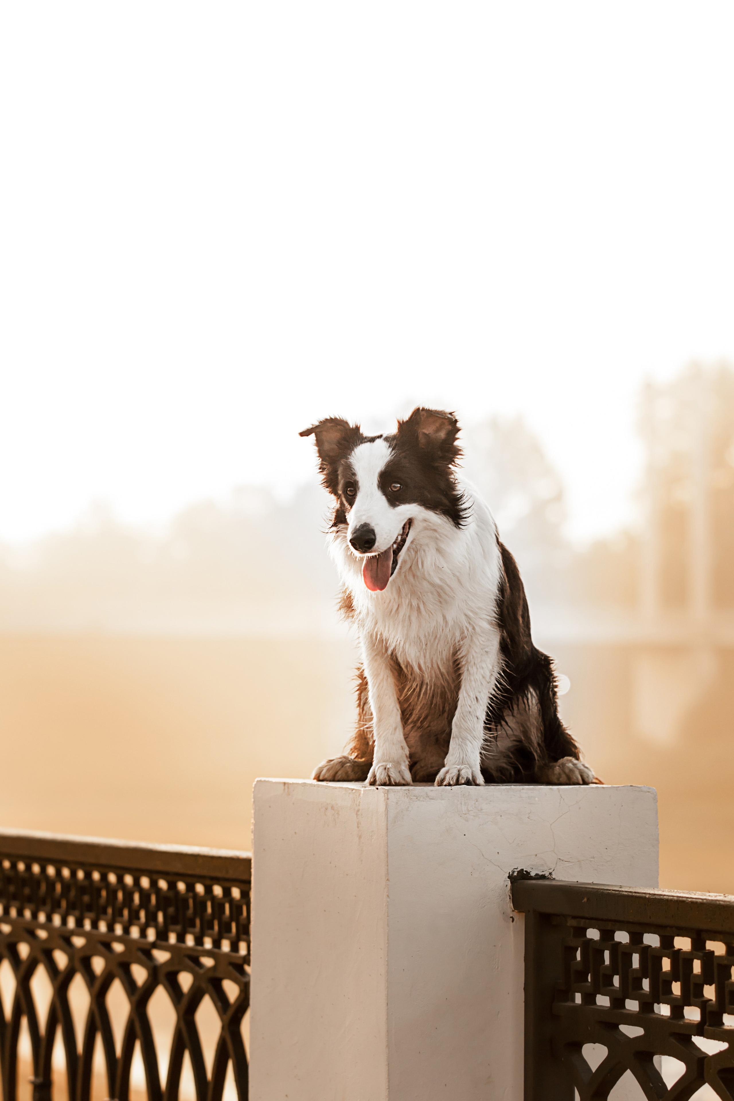 Сочный рассвет, на который решились. О нас