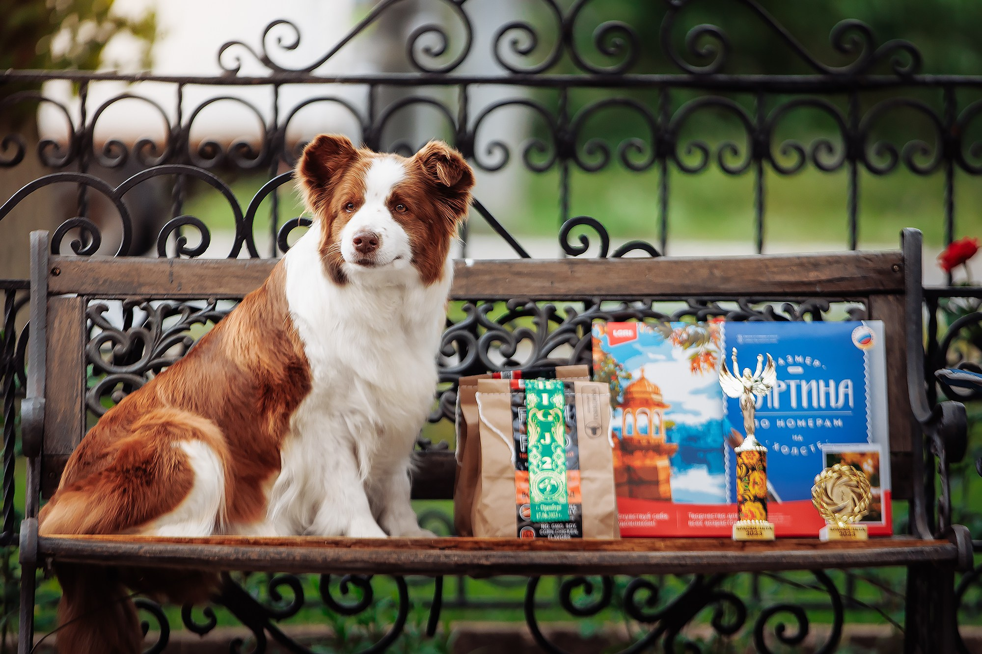 Краски 23. О нас