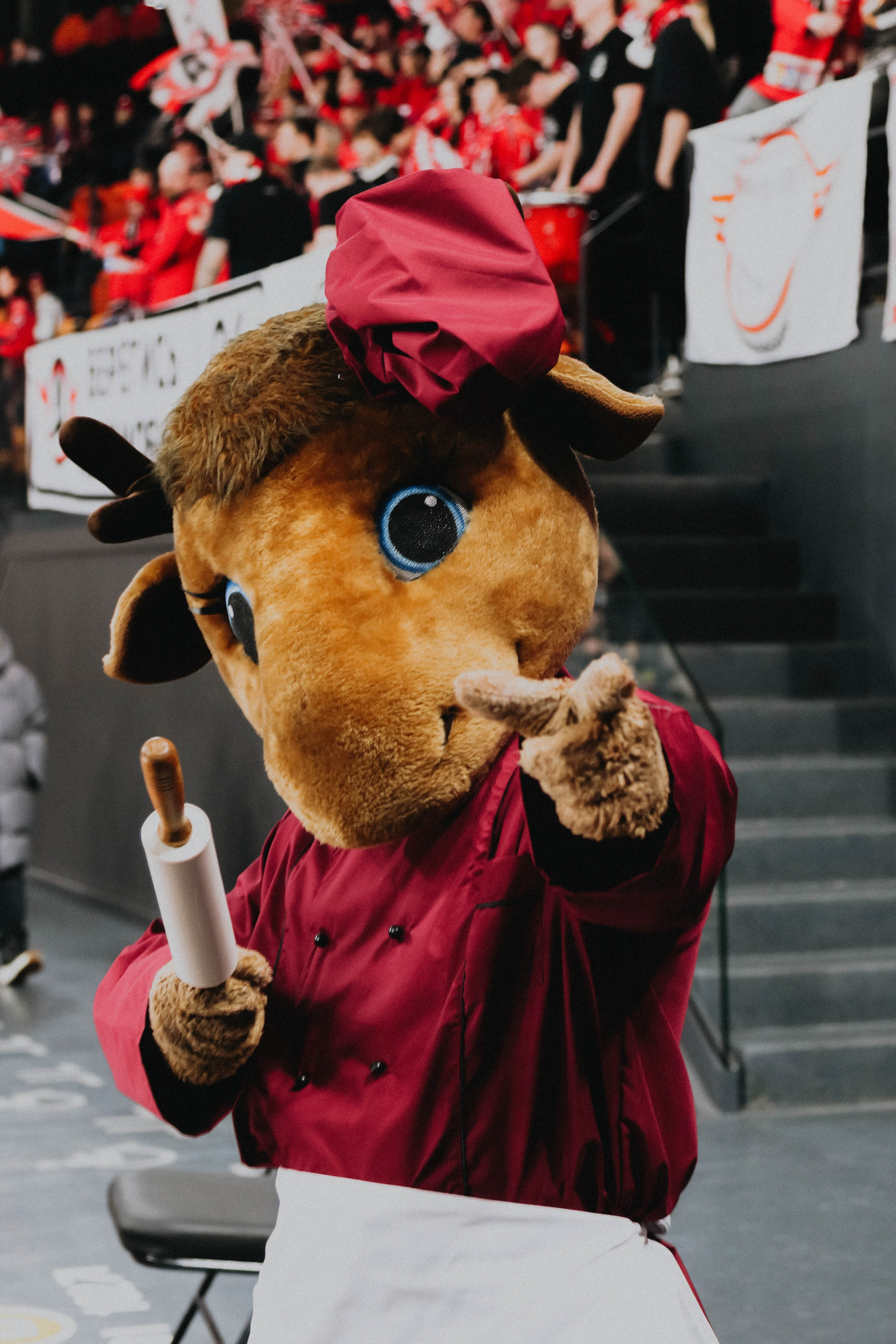 «СЕРИАЛЬНЫЙ МАТЧ» |ХК «АВТОМОБИЛИСТ». Фотограф в Екатеринбурге Ирада Баянгулова