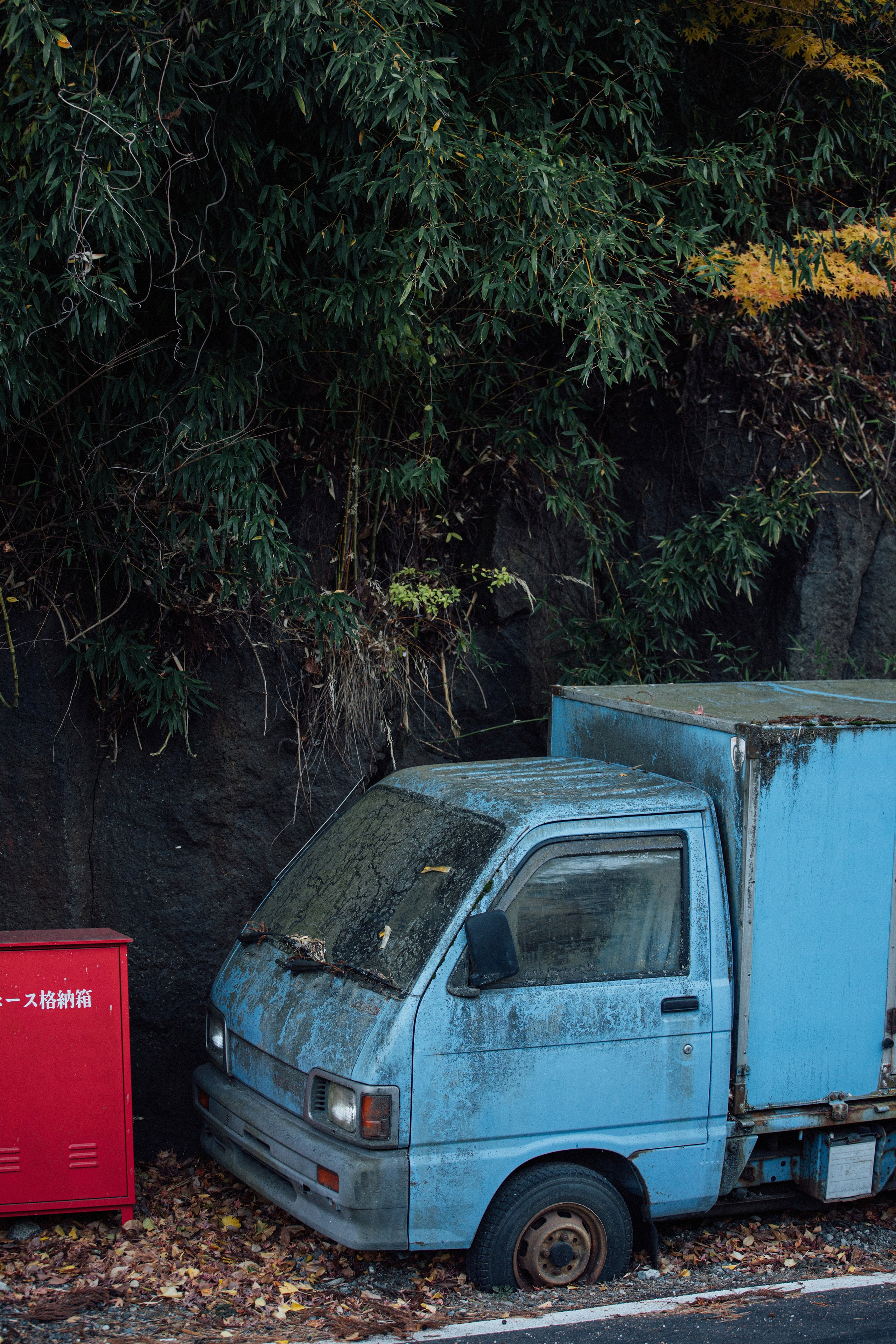 Япония. Главная