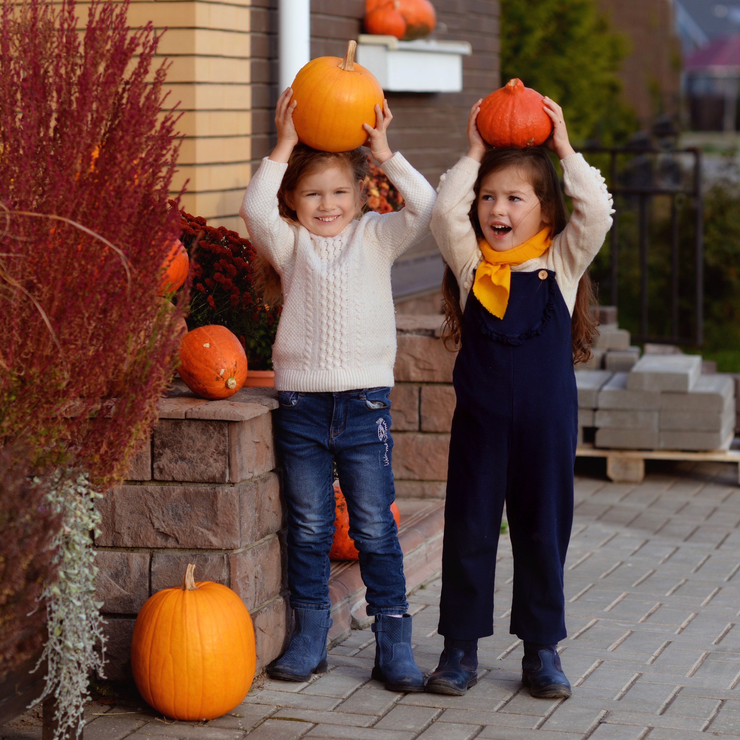 Оранжевое настроение. Фотограф Альбина Вакунова
