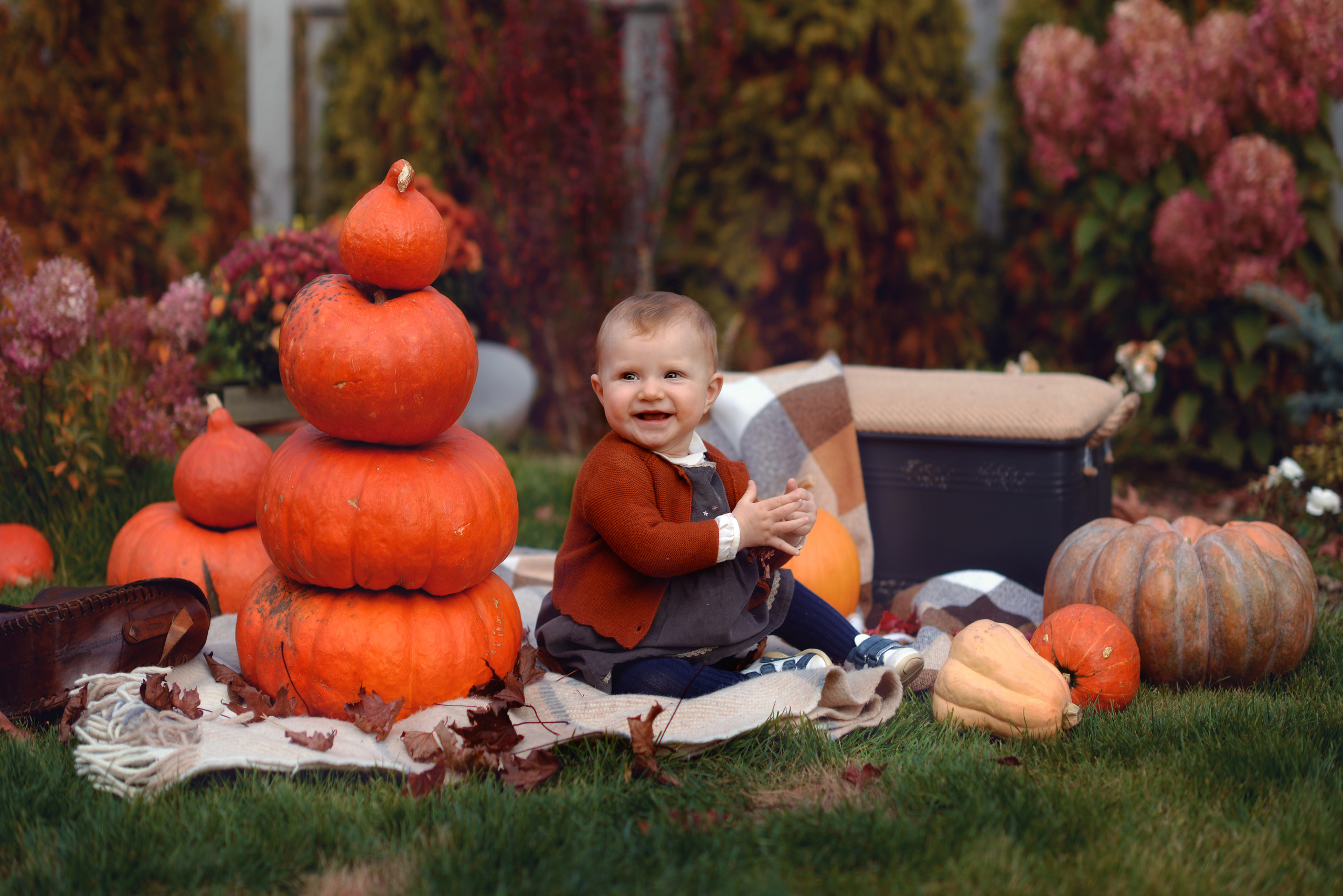 Оранжевое настроение. Фотограф Альбина Вакунова