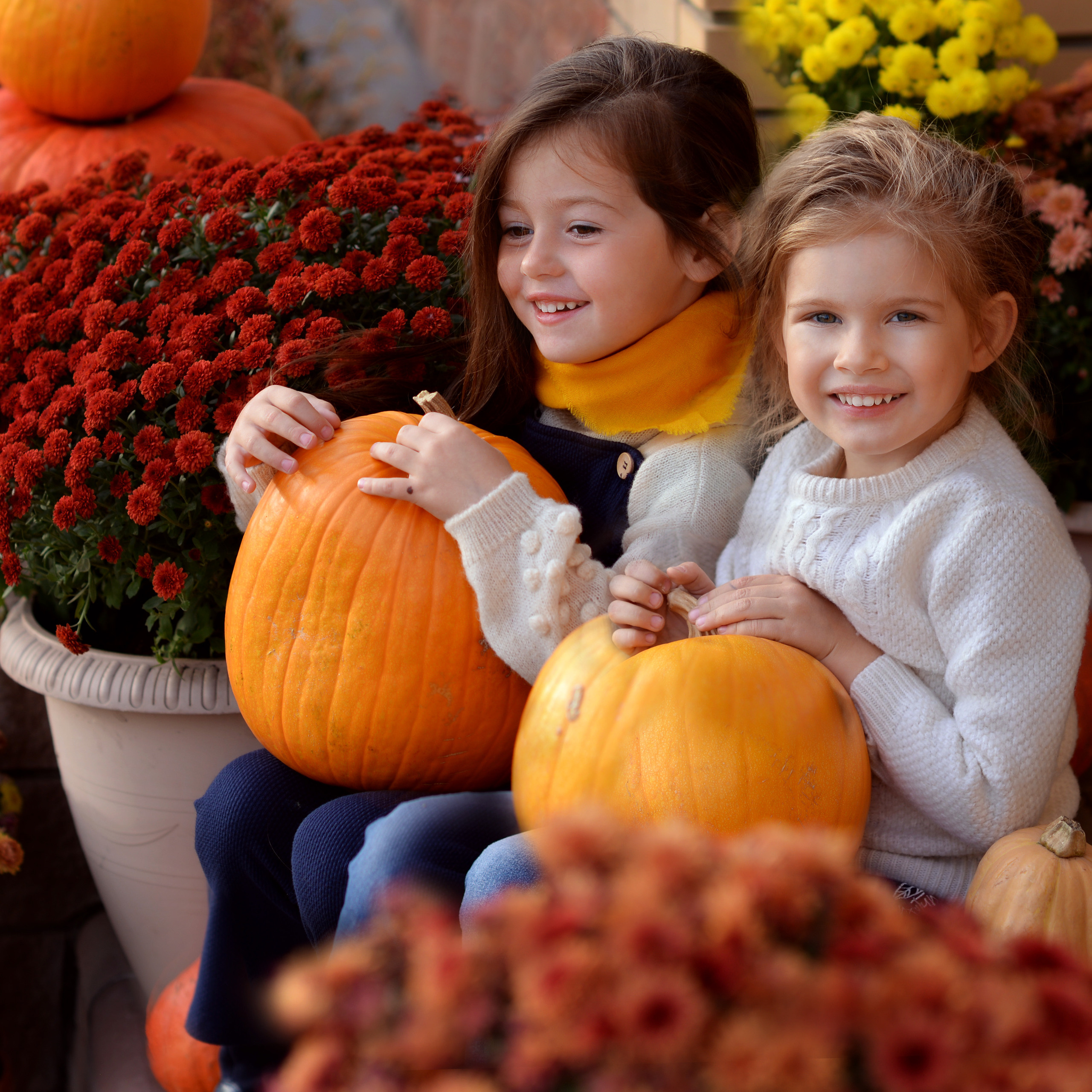 Оранжевое настроение. Фотограф Альбина Вакунова