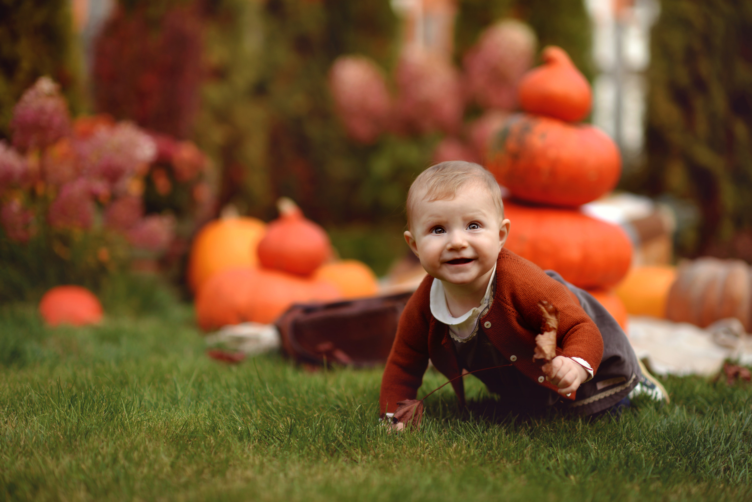 Оранжевое настроение. Фотограф Альбина Вакунова