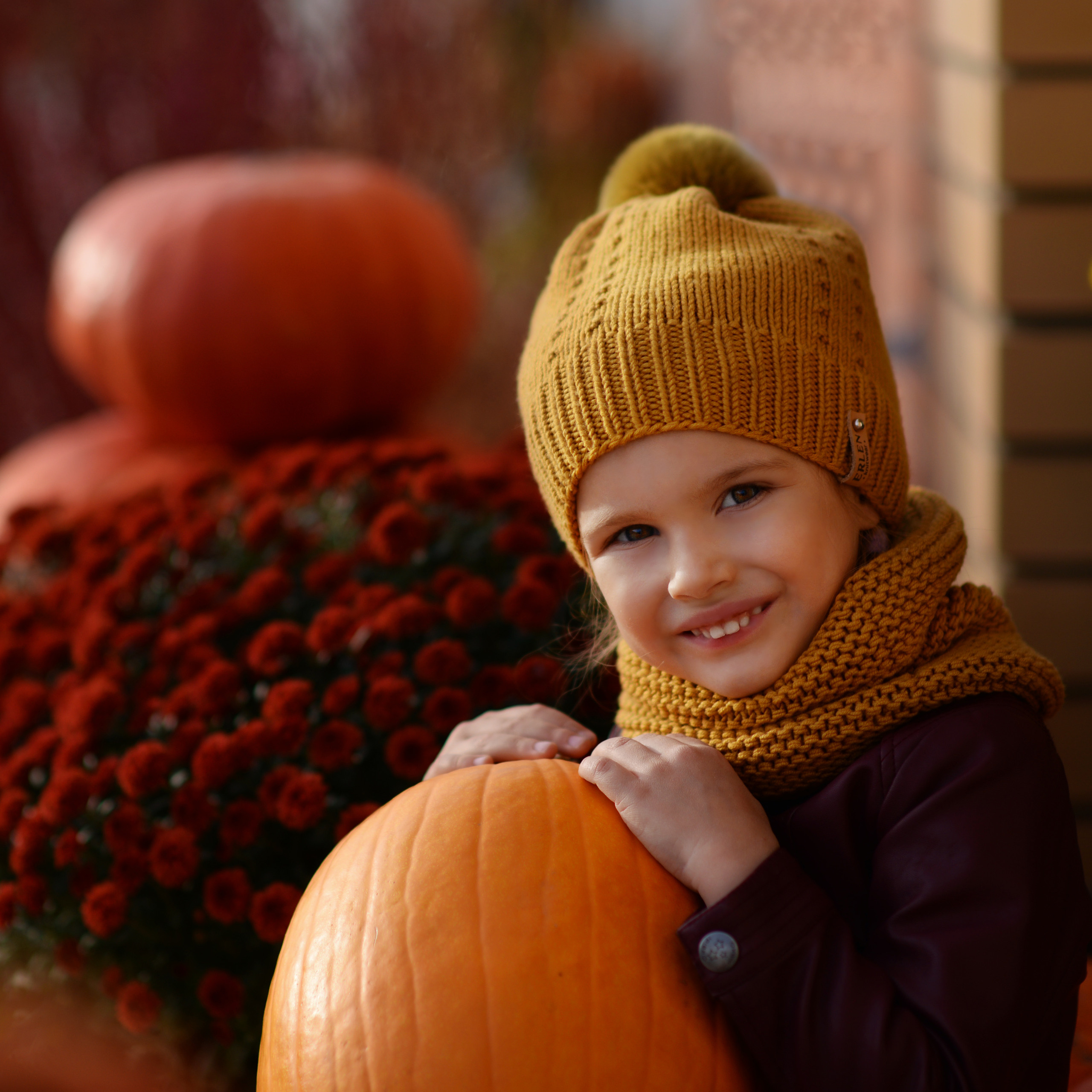 Оранжевое настроение. Фотограф Альбина Вакунова