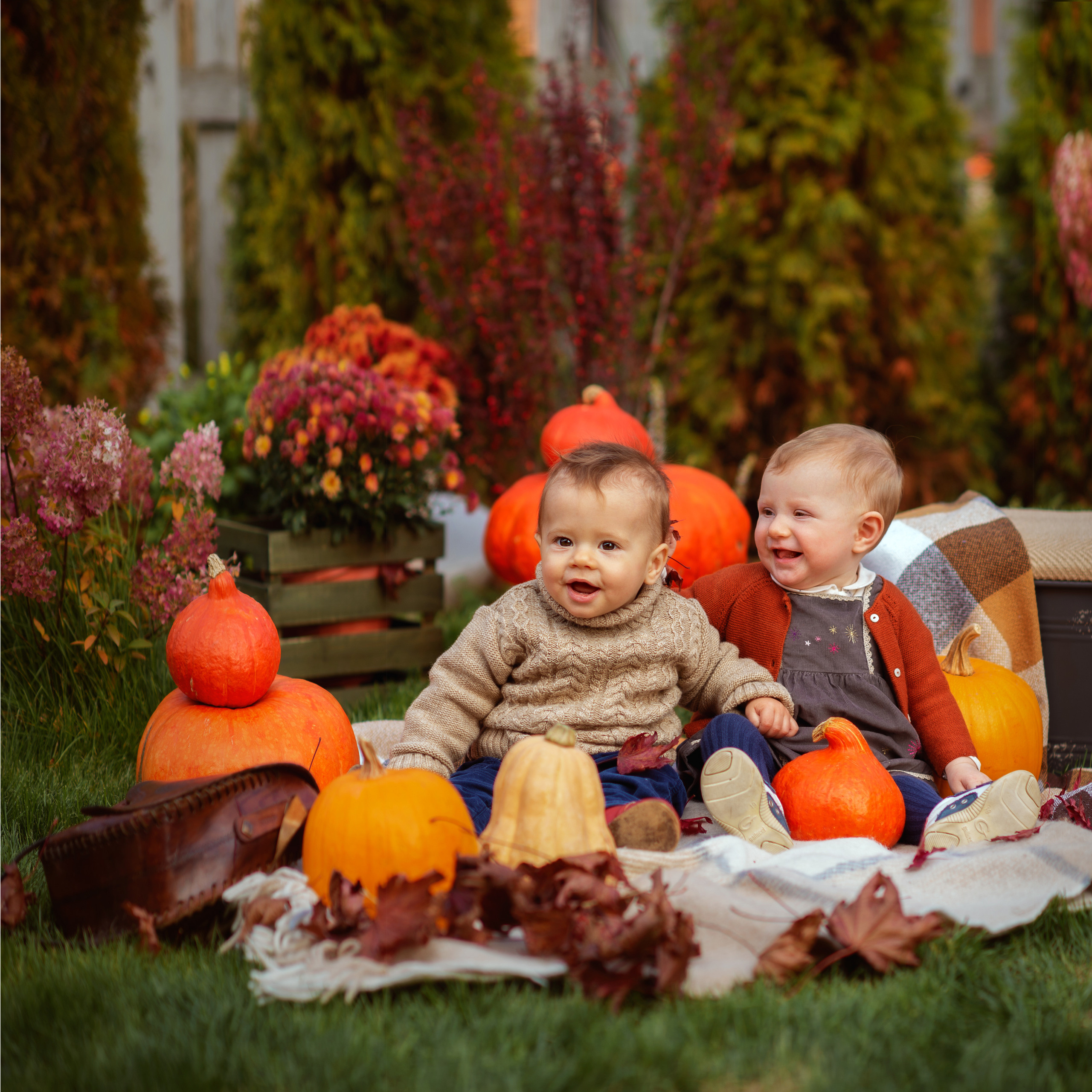 Оранжевое настроение. Фотограф Альбина Вакунова