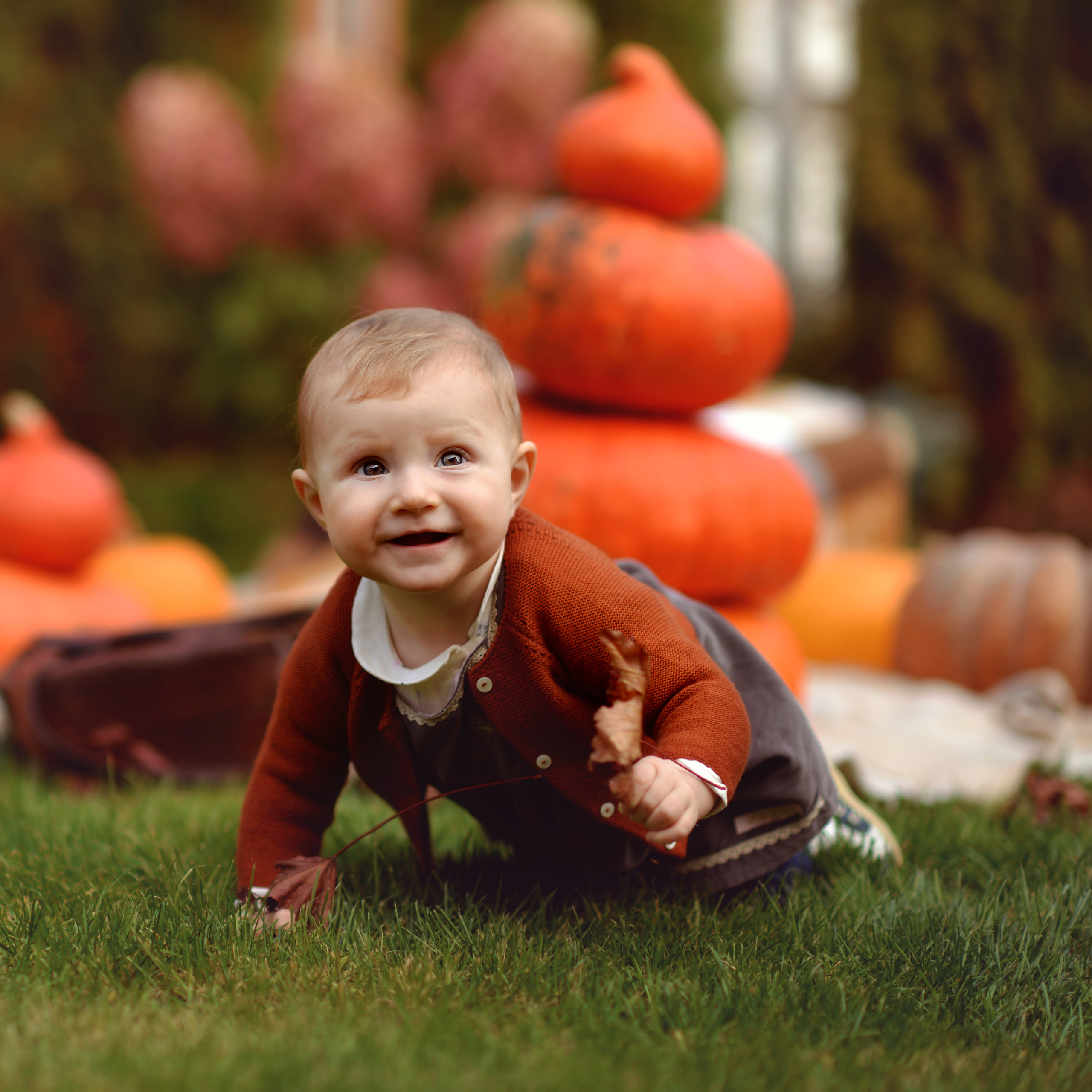 малыш ползает хеллуин тыквы 