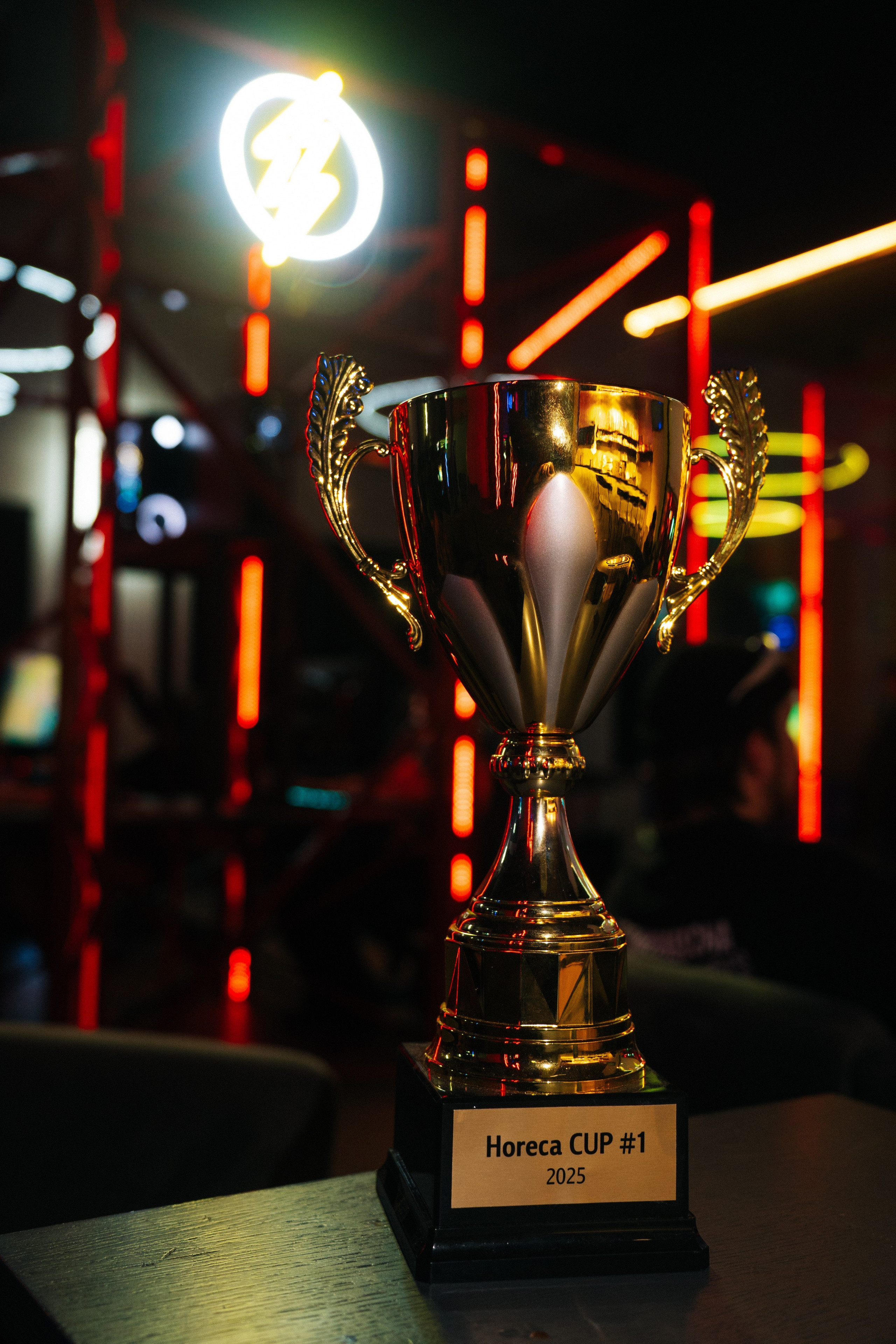 Olymp arena (компьютерный клуб). Фотограф в Воронеже Ольга Космодемьянская