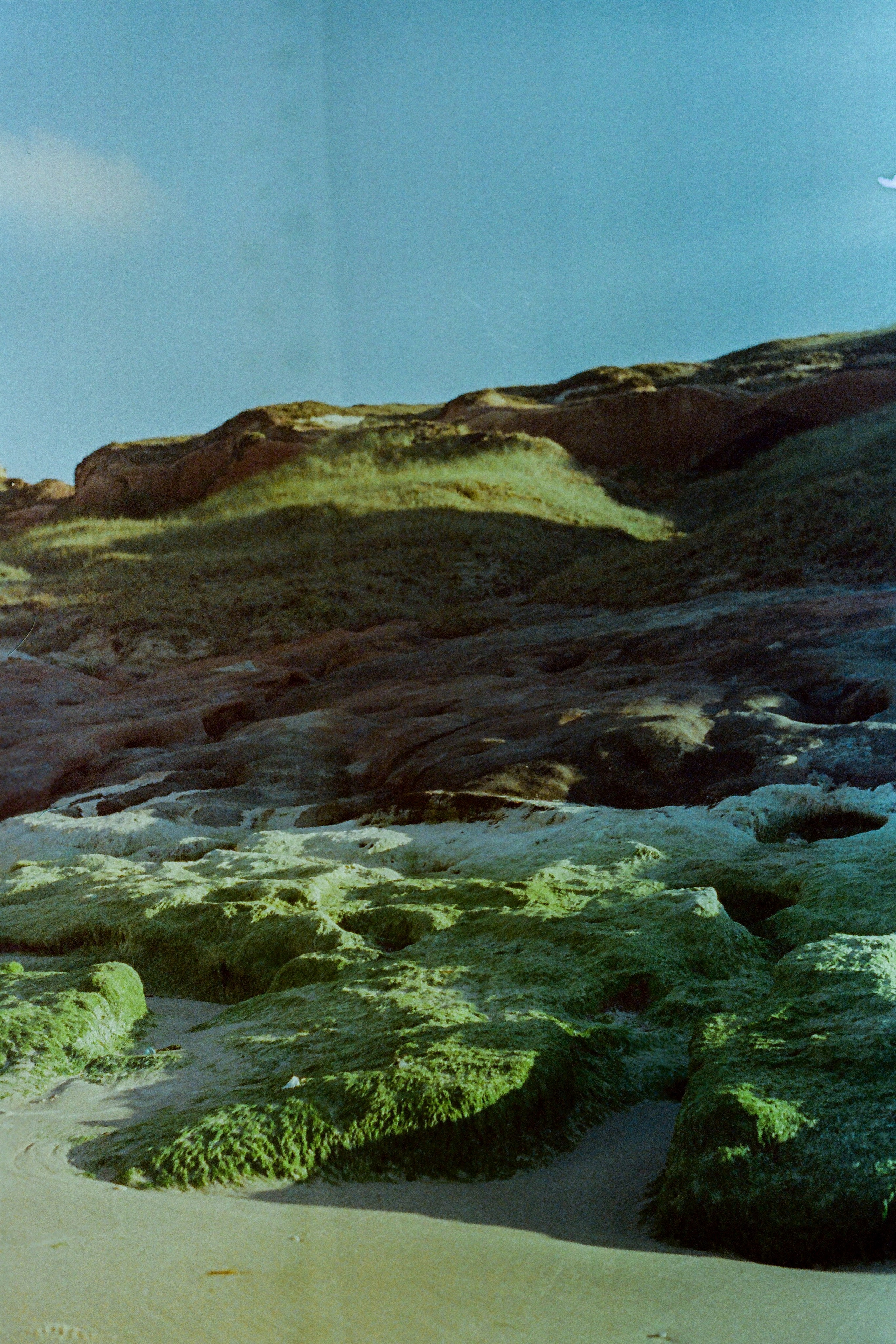 Film photos. Creative travel photographer — Berg Daria