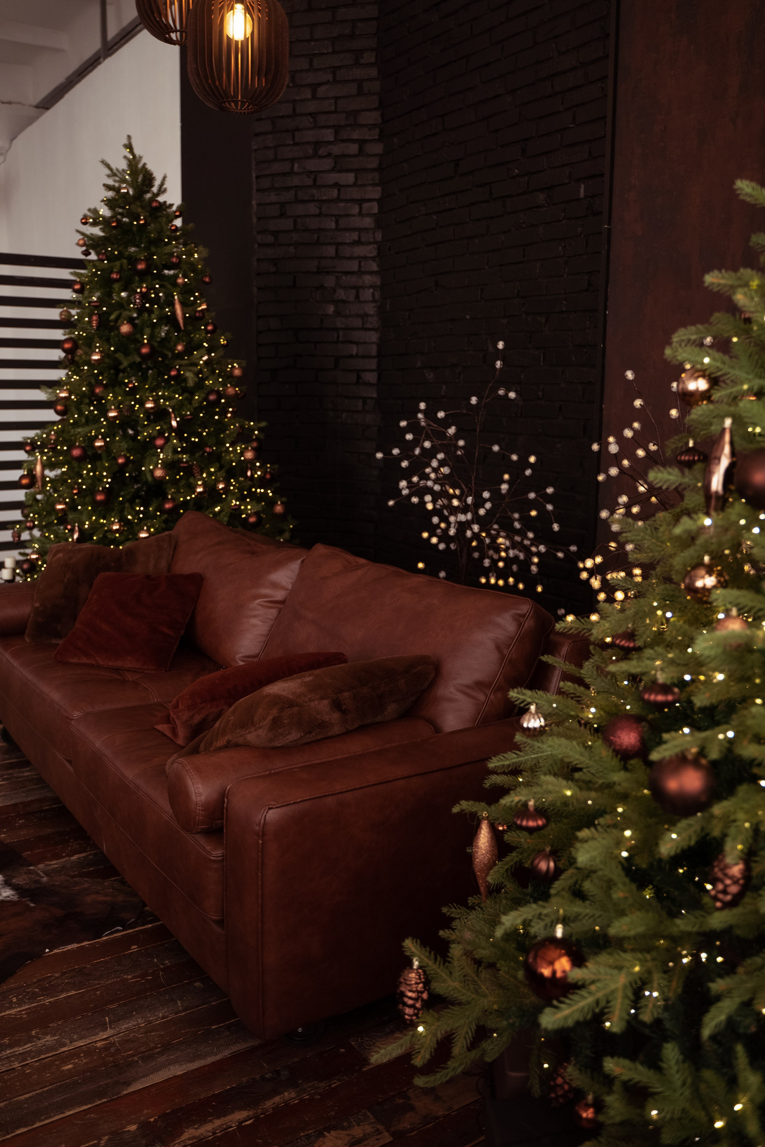 Браун (Brown). Фотограф г. Хабаровск. Семейные и индивидуальные съёмки