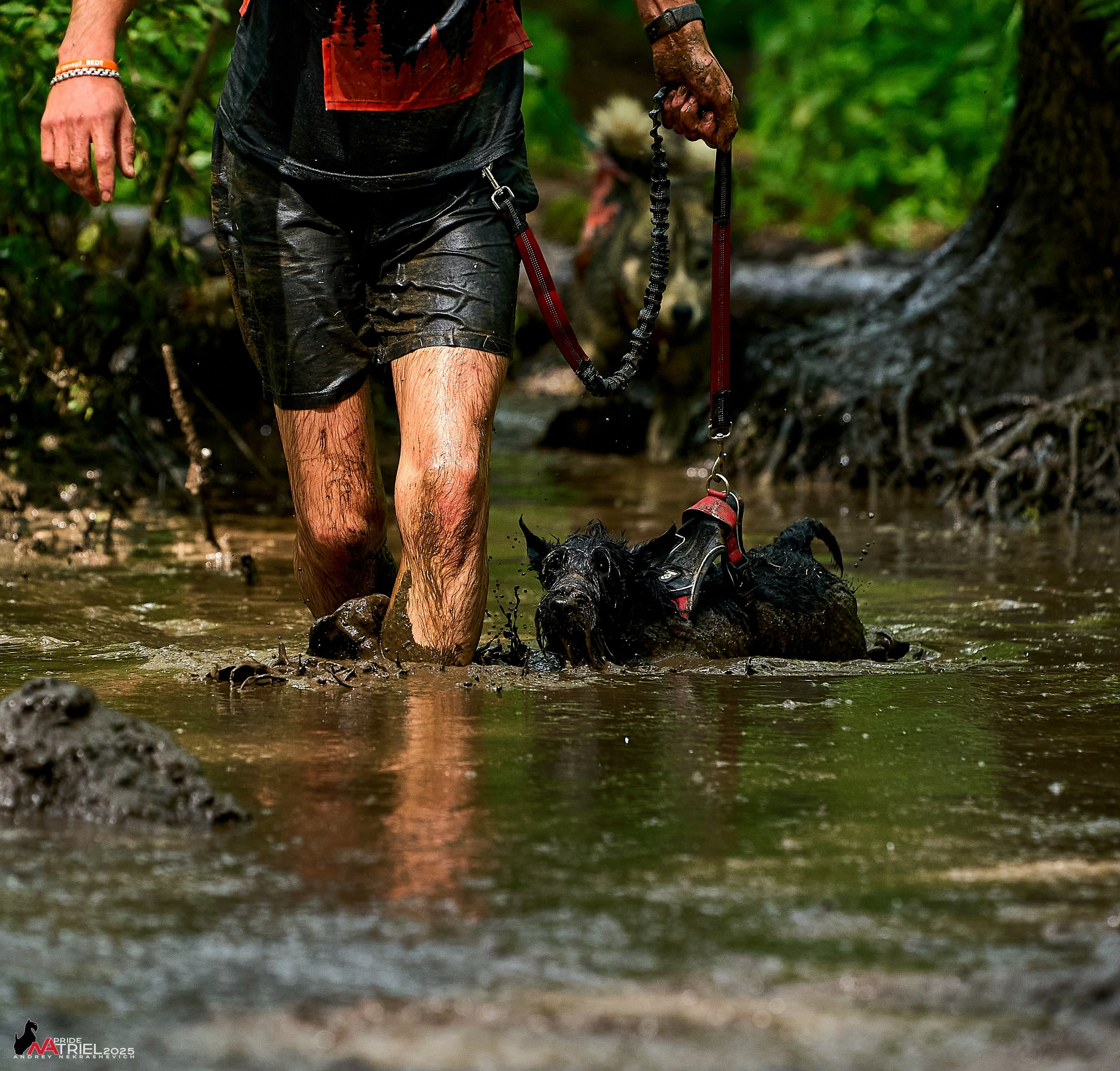 Russian Extreme Dog Trail — 2025