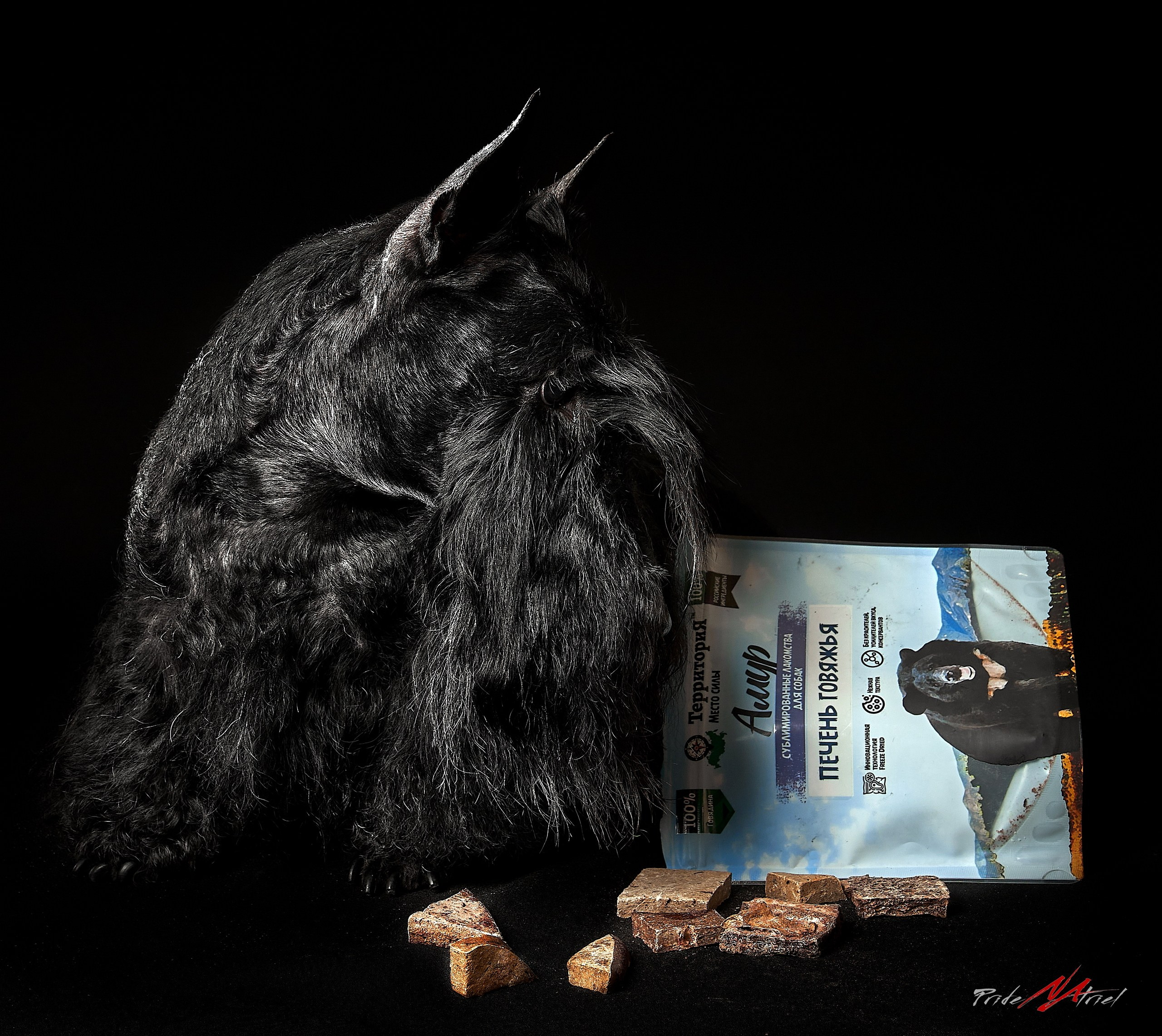 Реклама с животными — галерея NATRIEL