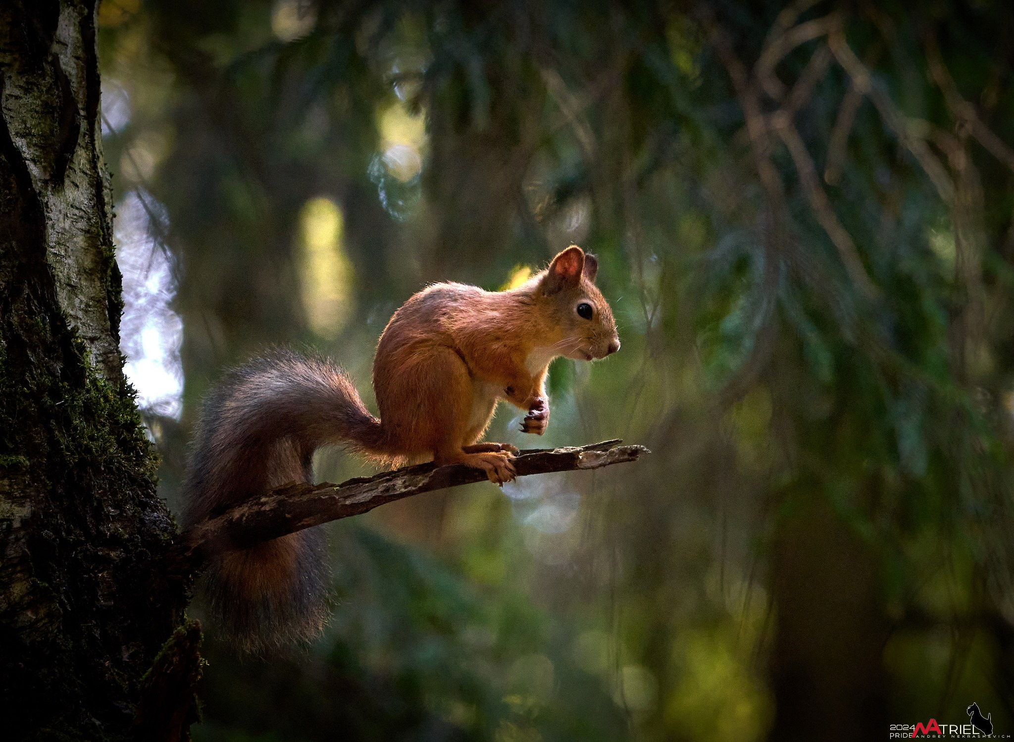 Фотопрогулка на природе