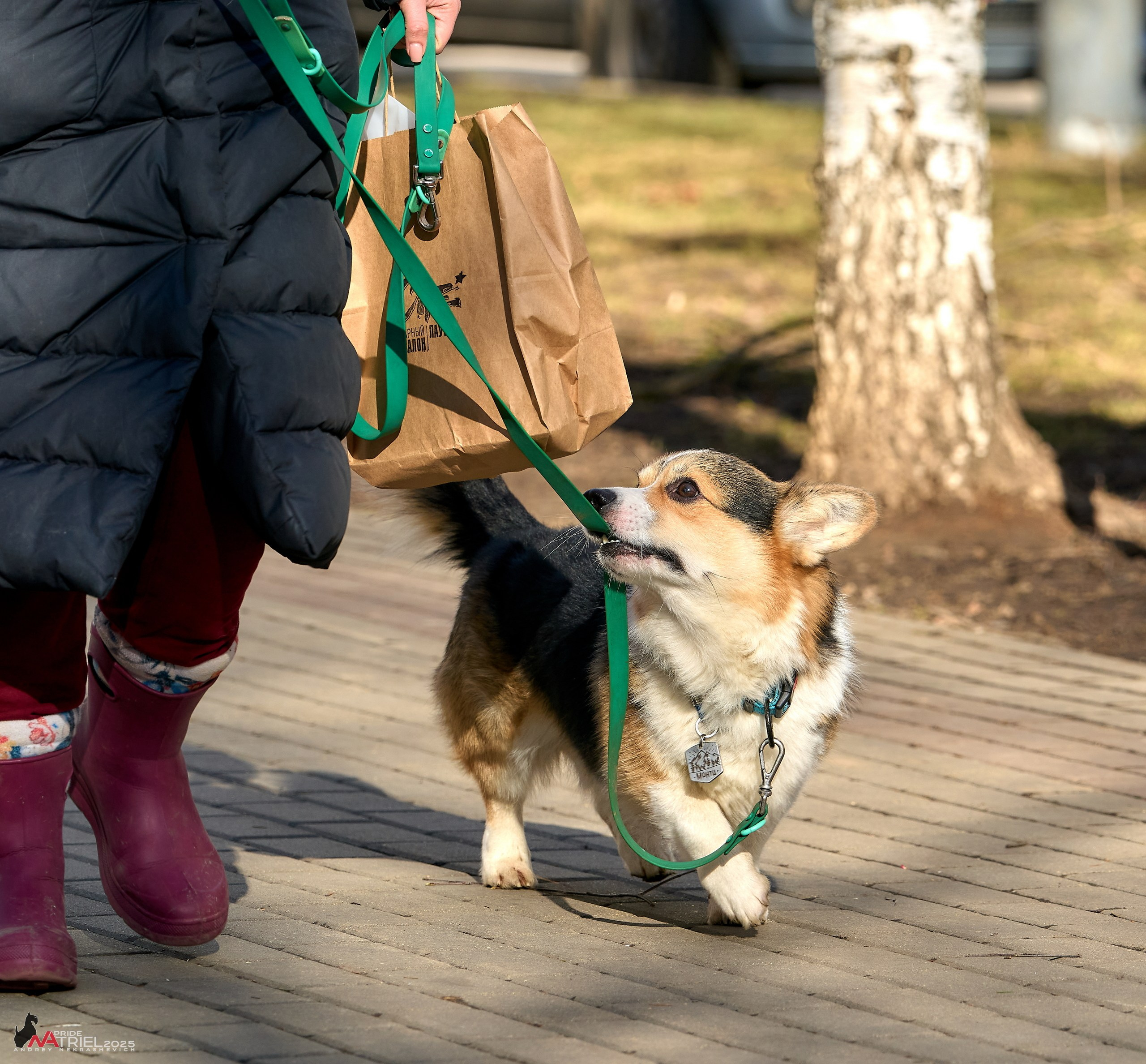 Фотопрогулка в Бутово